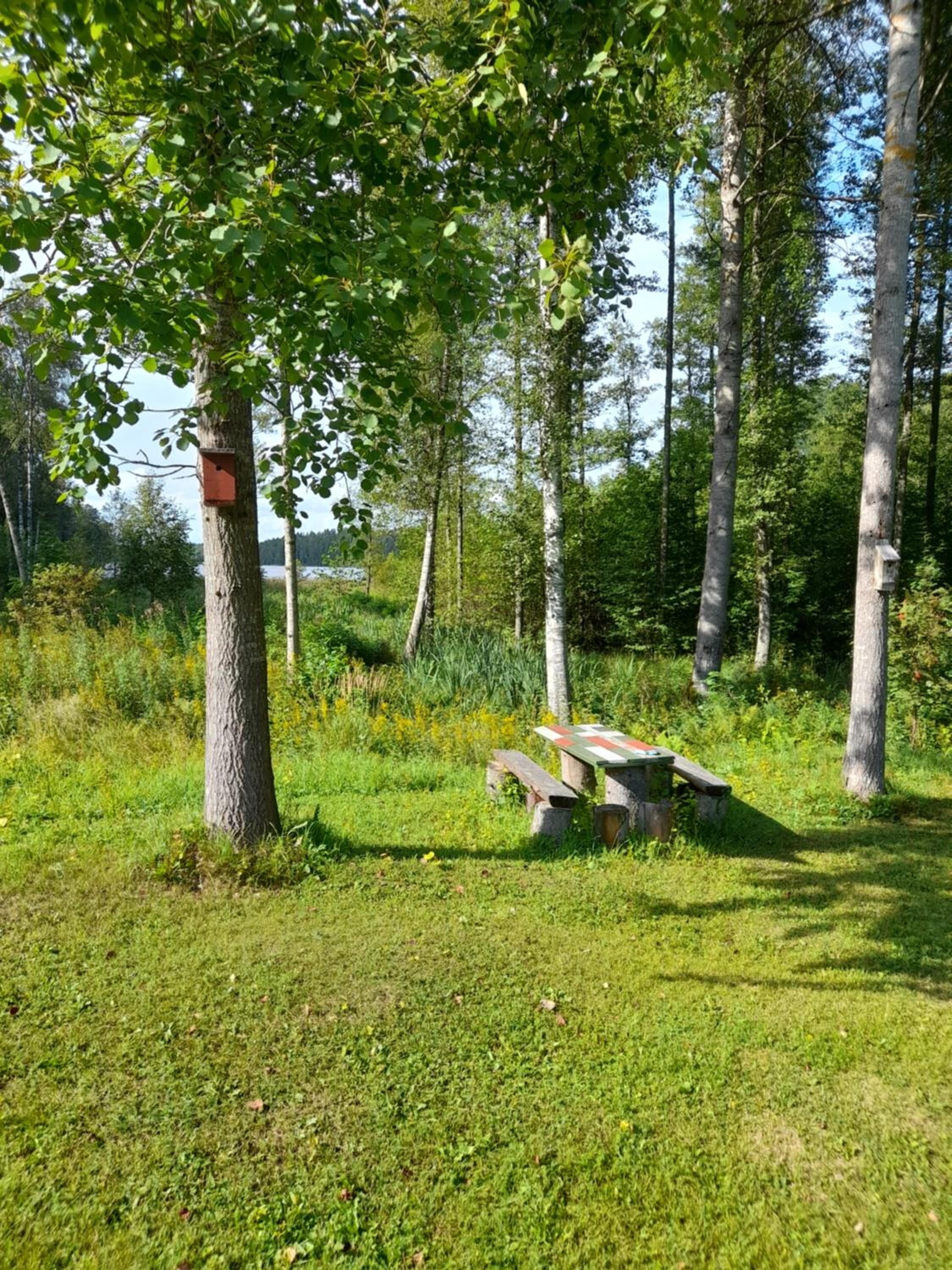 Photo 13