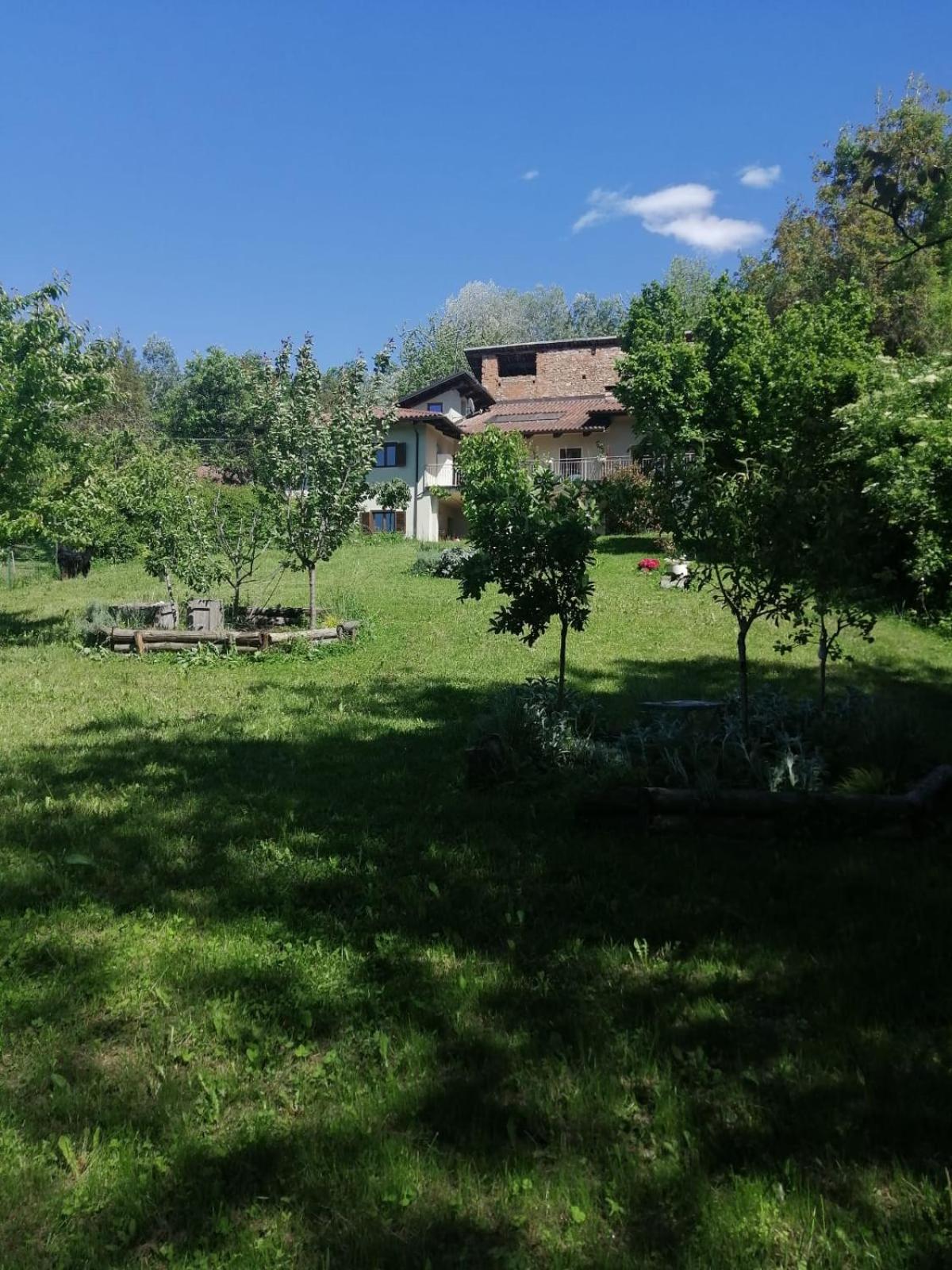 Photo 39