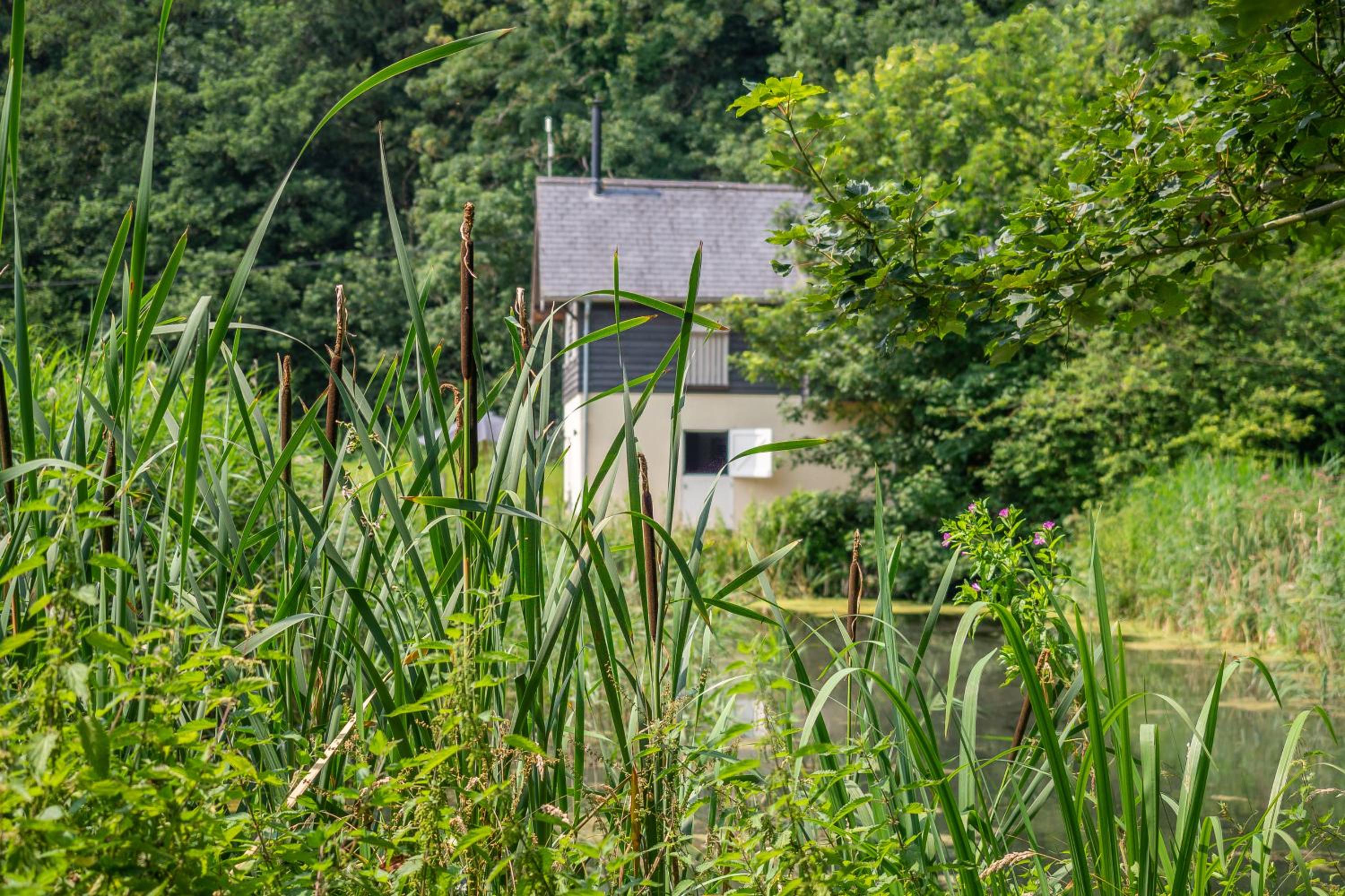 Heavenly luxury rustic cottage in historic country estate - Belchamp Hall Mill