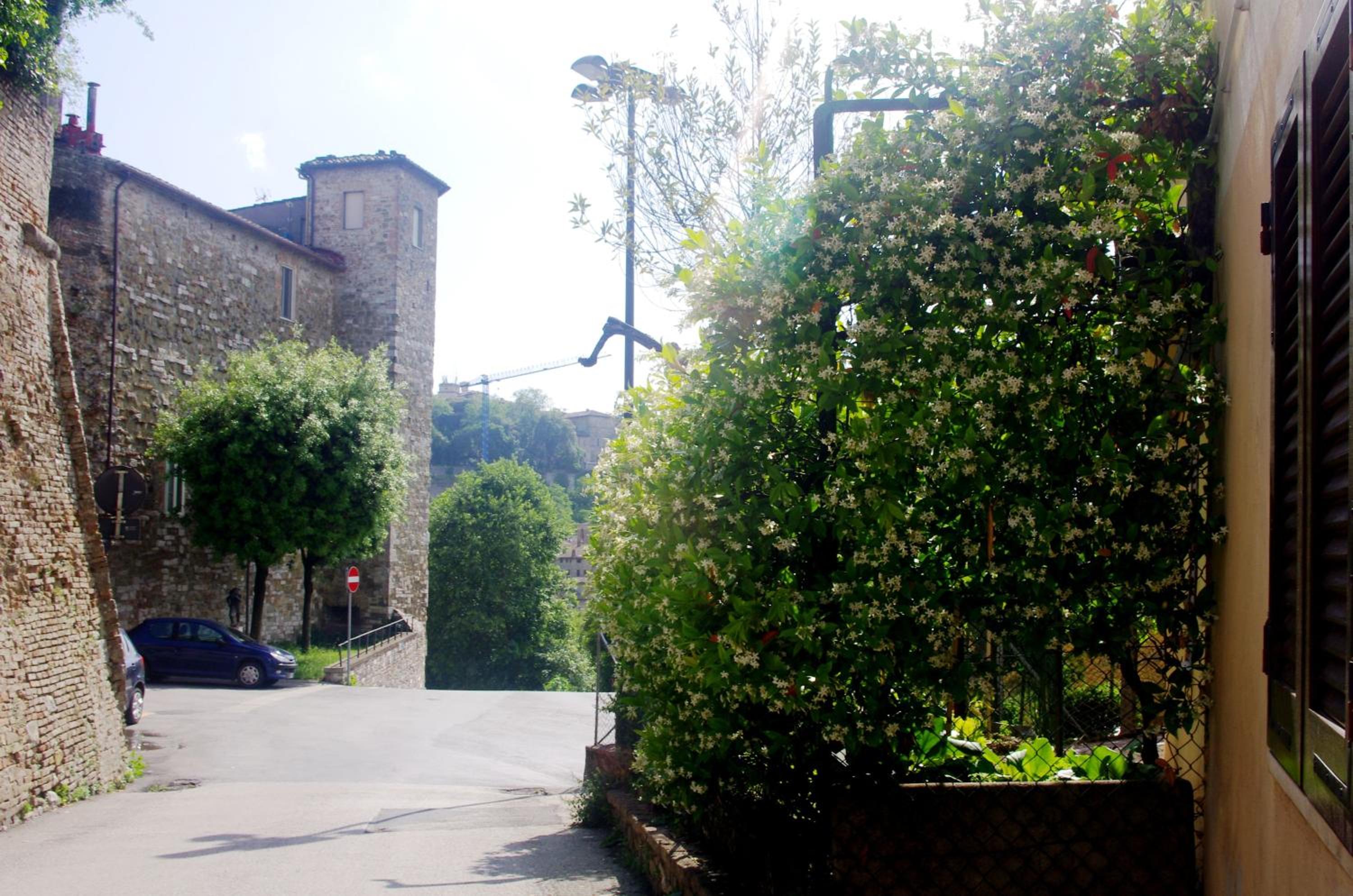 Casetta Arco view 2