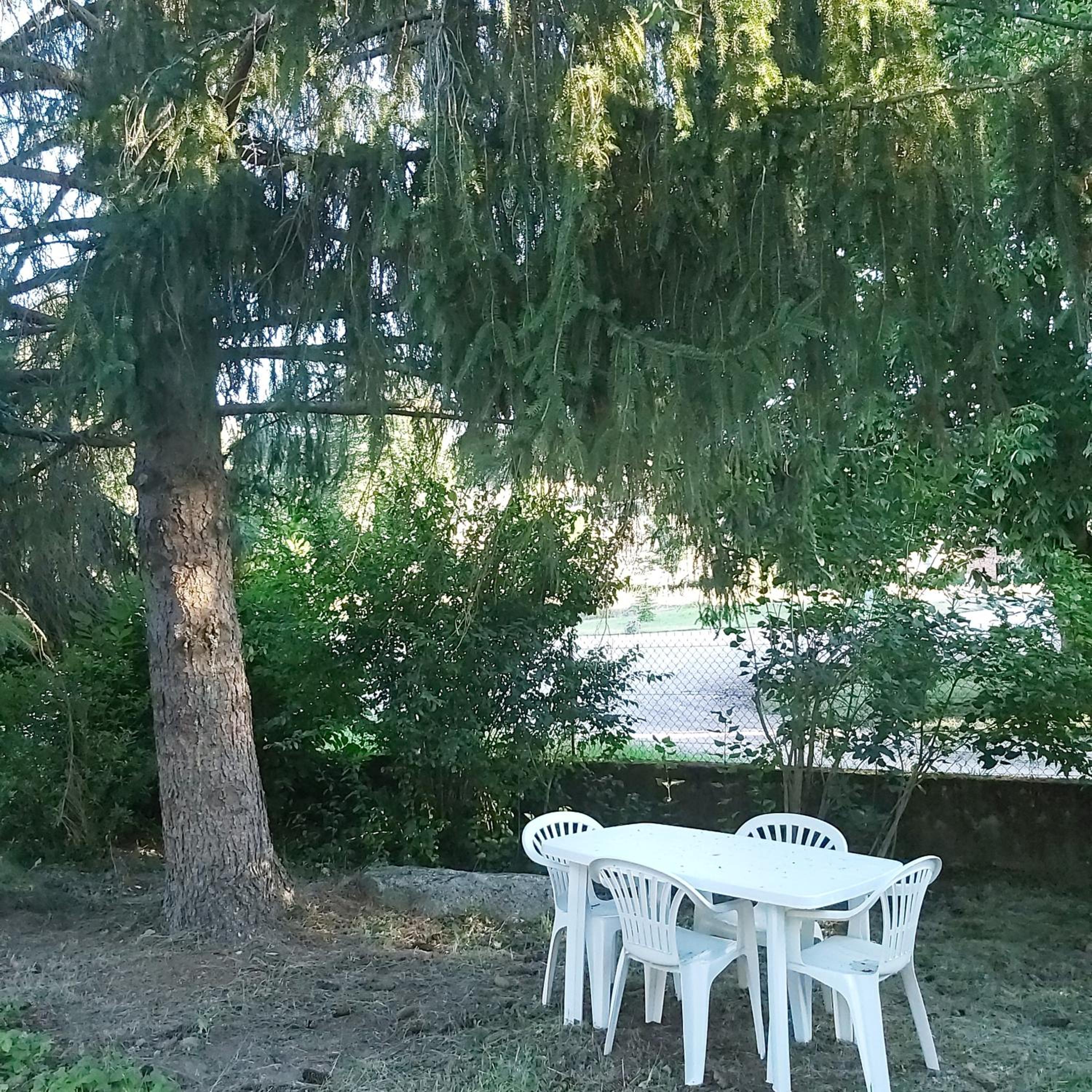 Photo 13