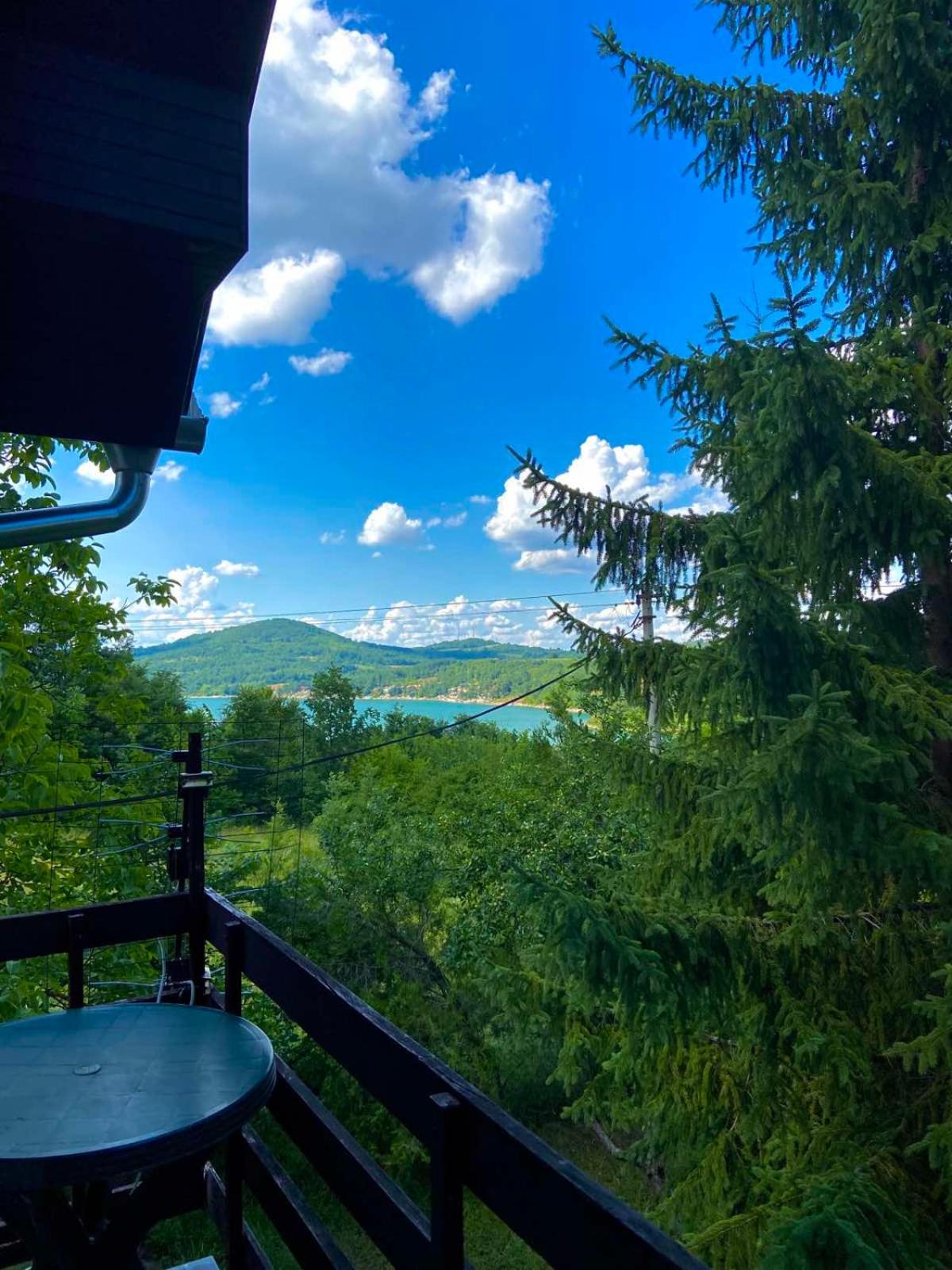 Kuća Sarić, Gružansko jezero