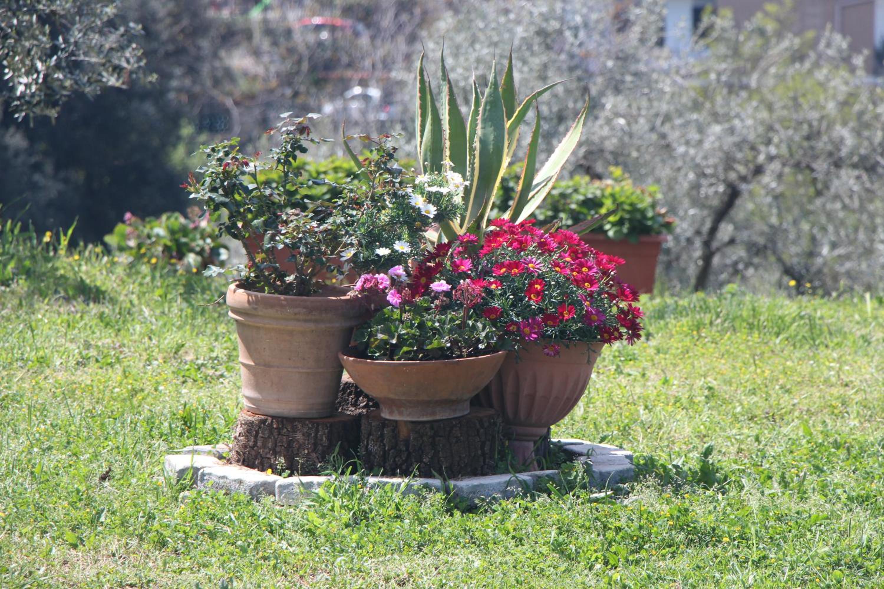 B&B La Terrazza di Frascati