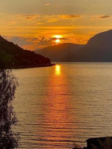 Panorama Fjord Olden