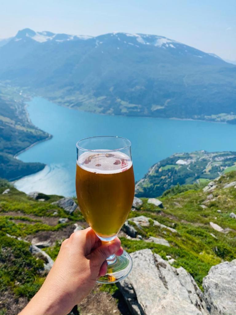Panorama Fjord Olden