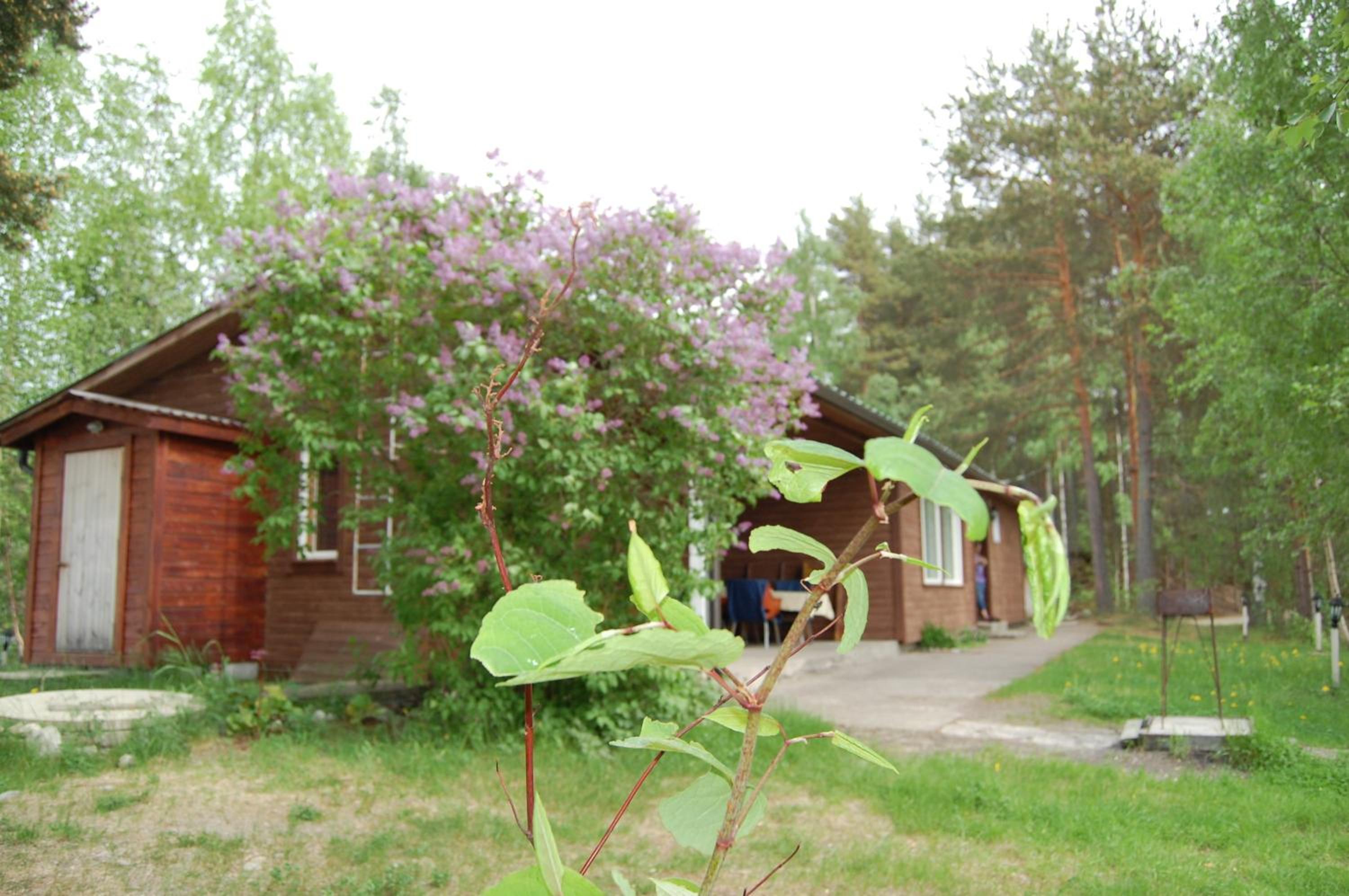 Lomasaaret Cottages