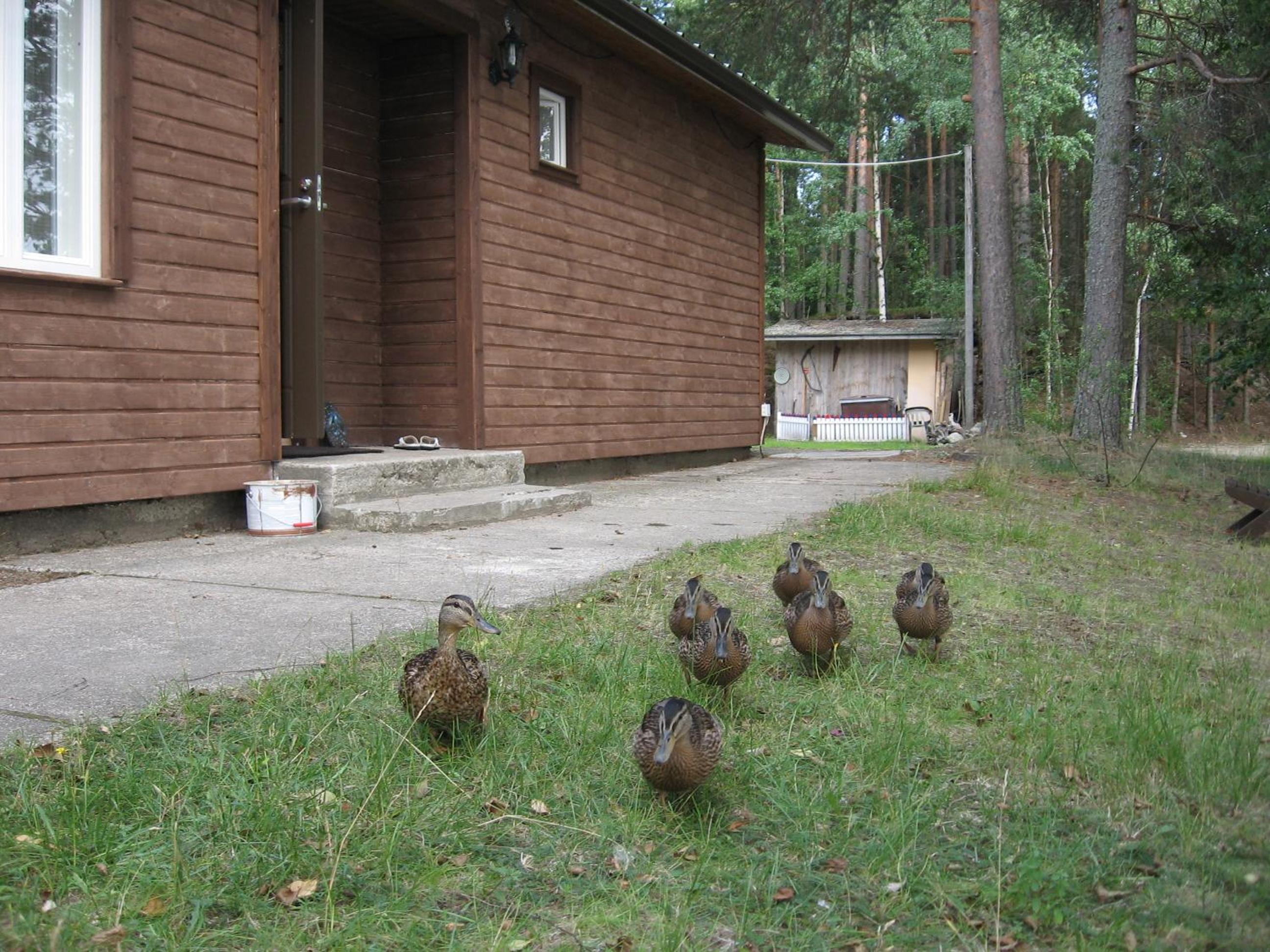Lomasaaret Cottages