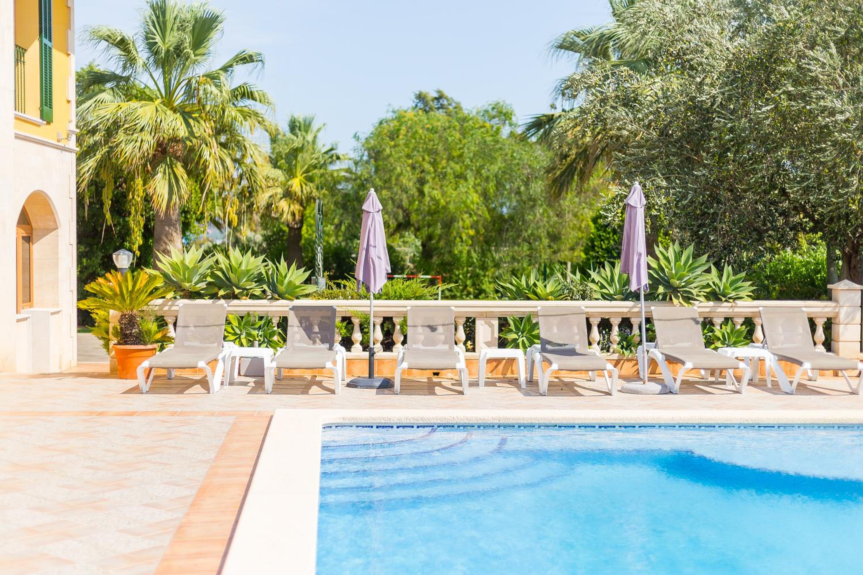 Can Marti Bea photo 5