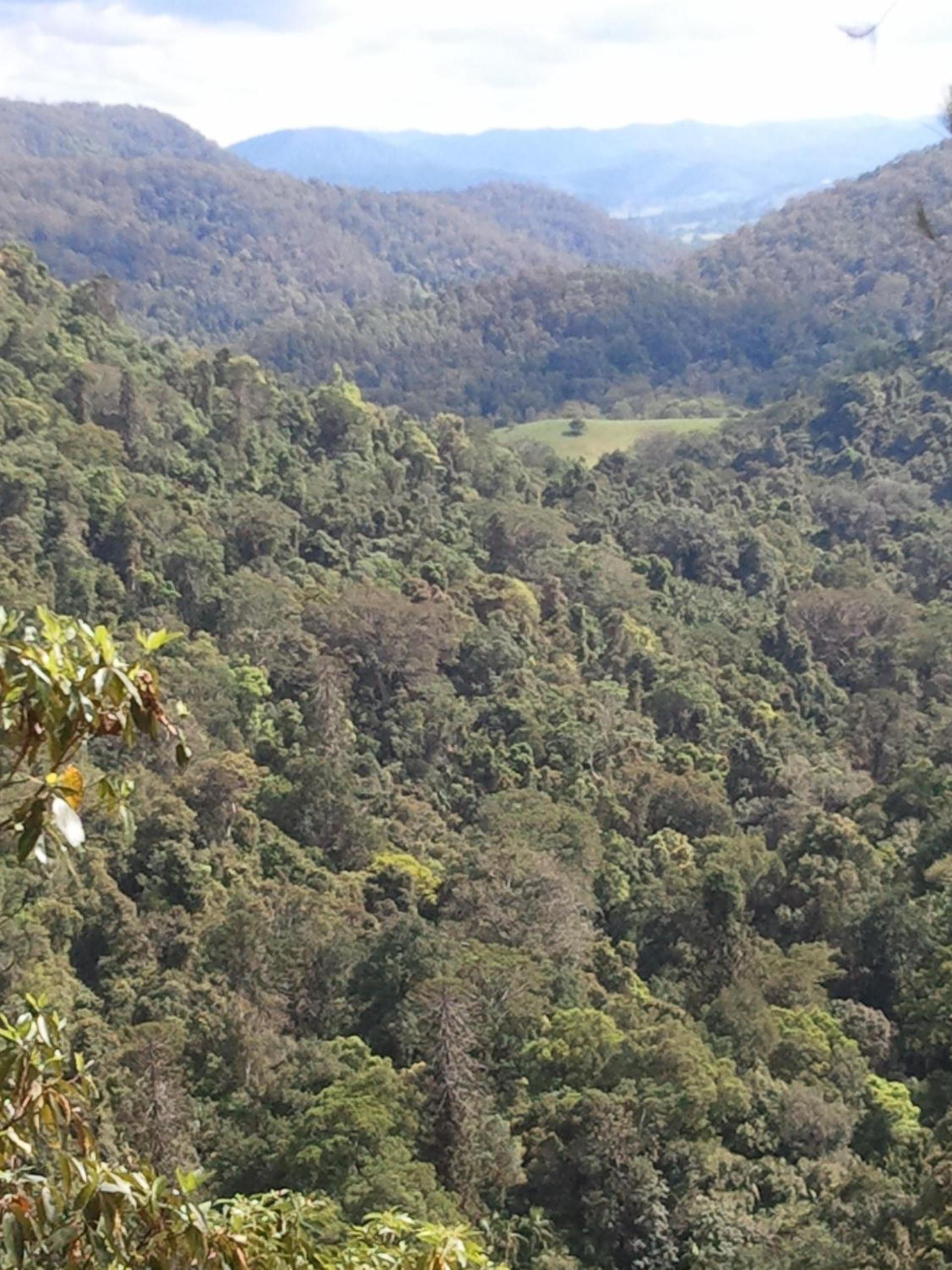 Kondalilla Eco Resort view 3
