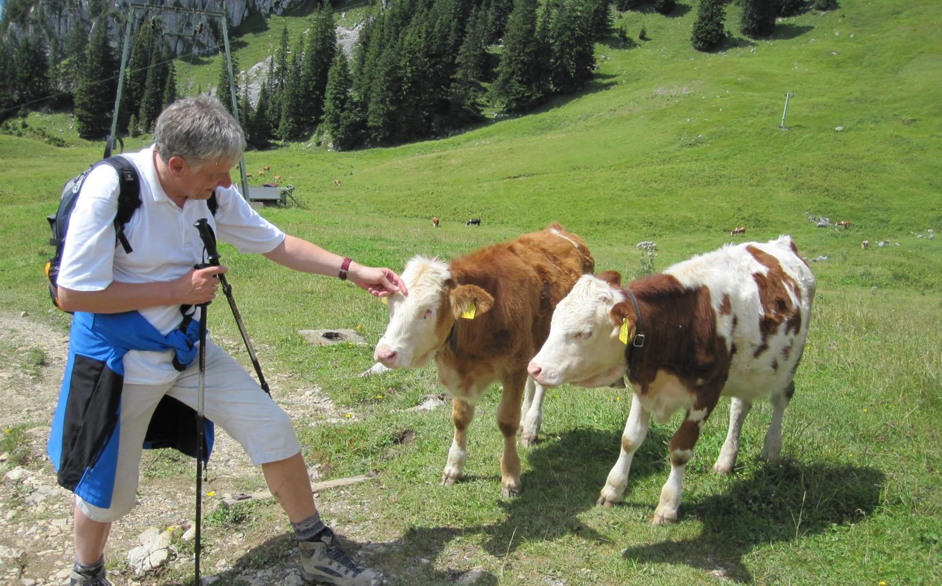 Haus TIROL