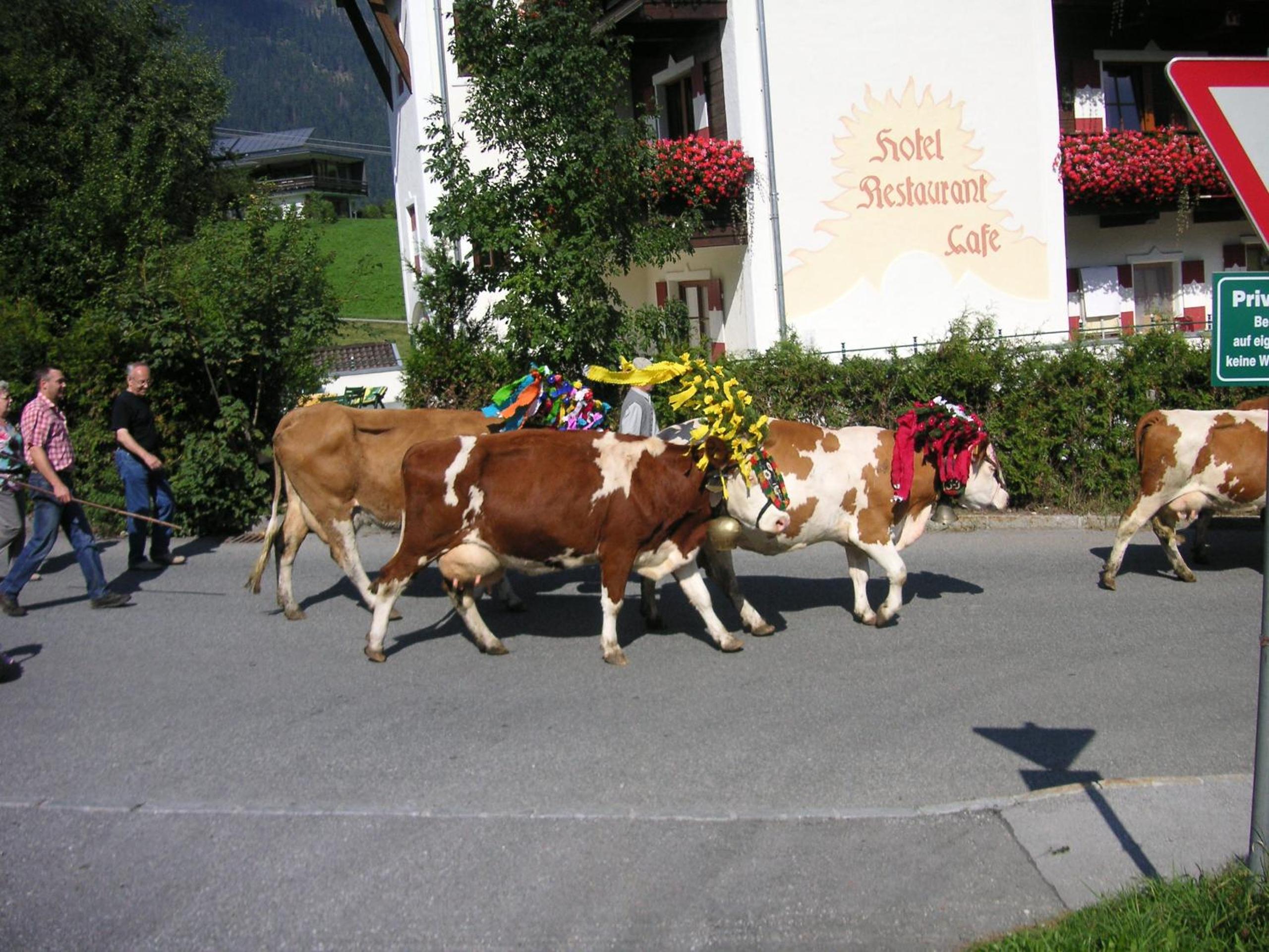 Haus TIROL