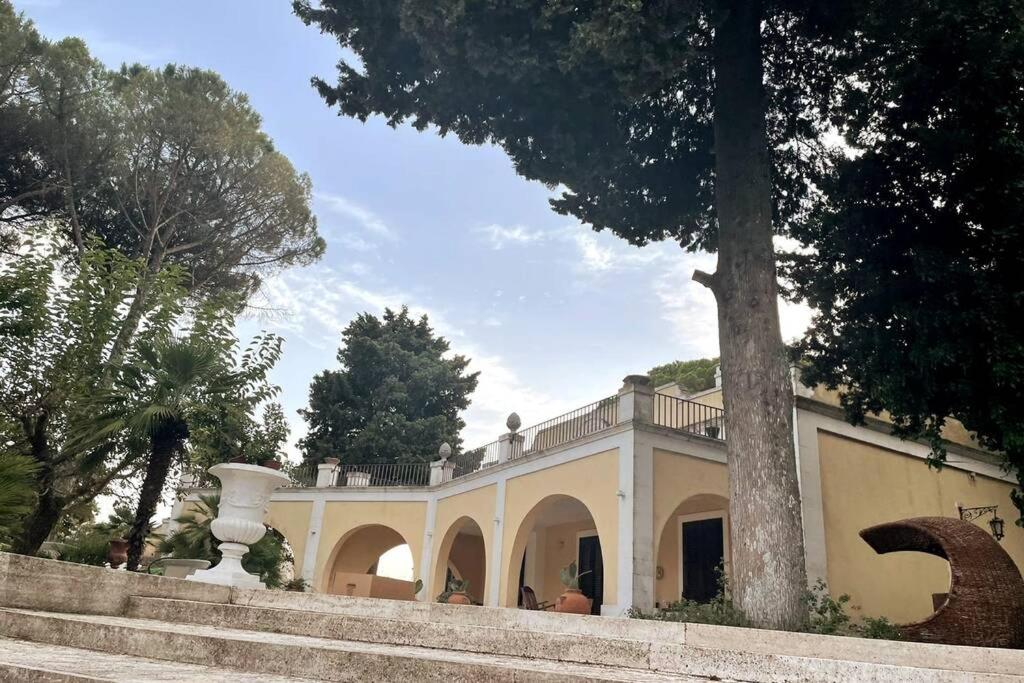 Villa Luciana view 4