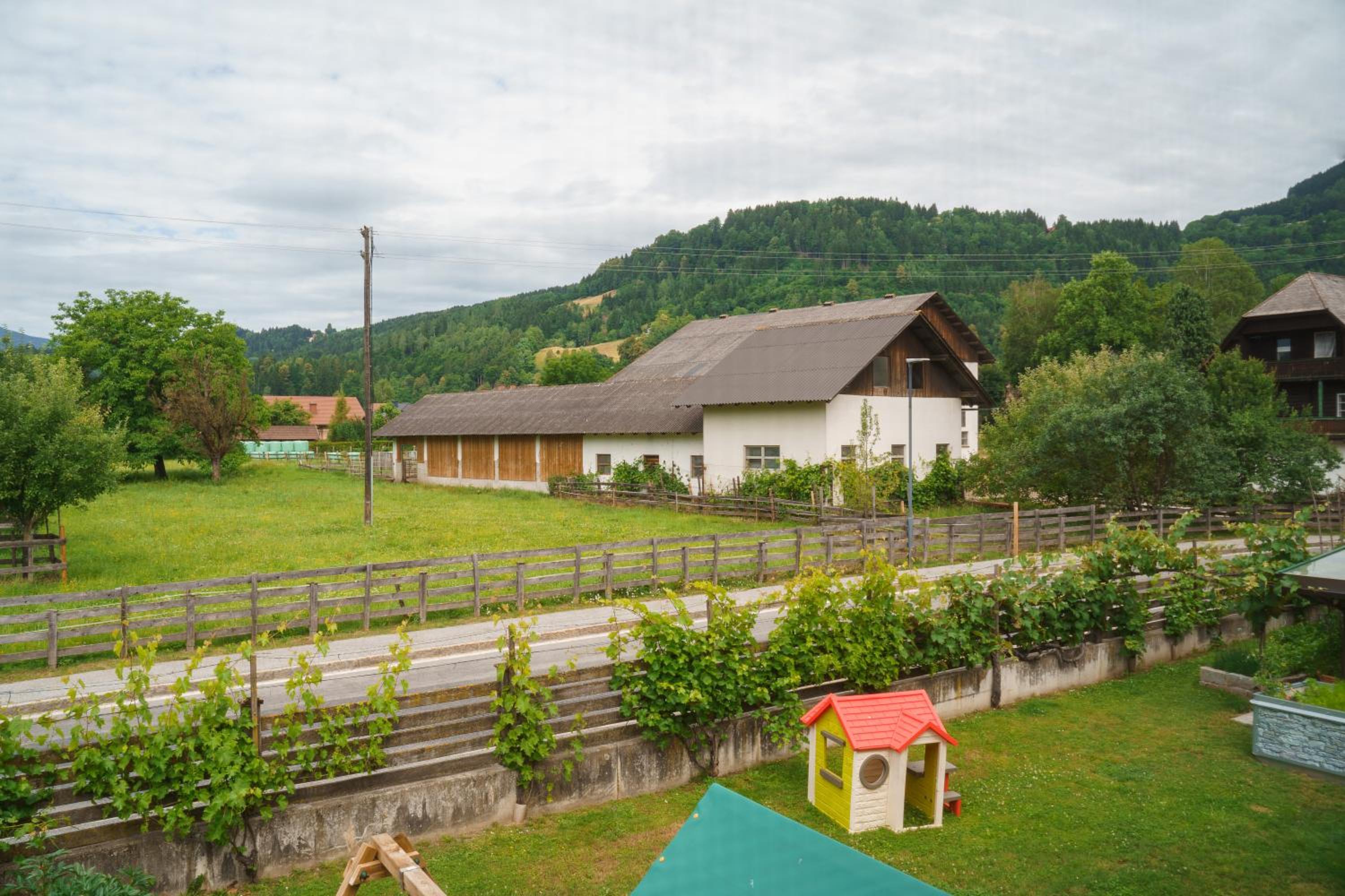Photo 13