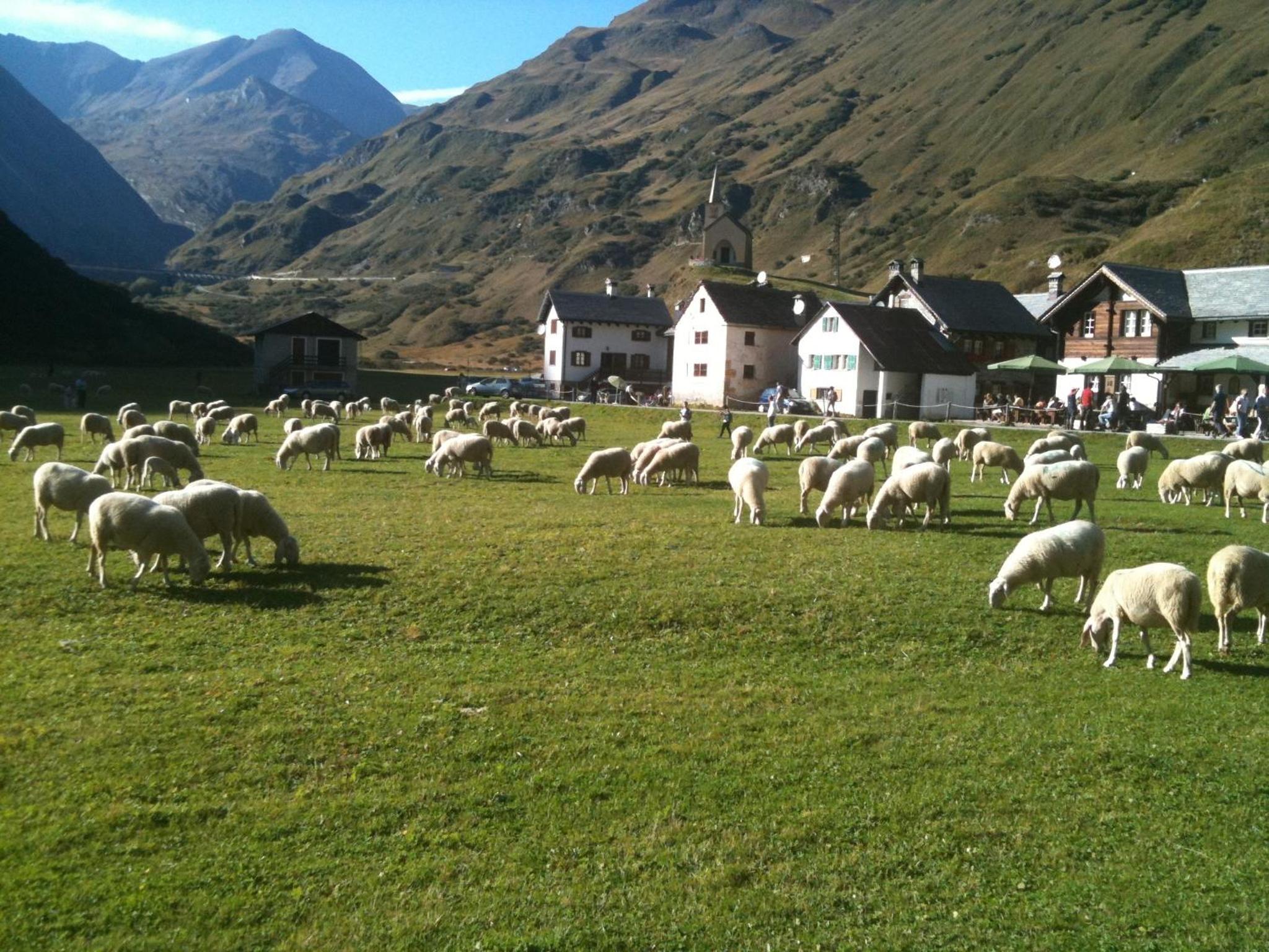 Photo 21