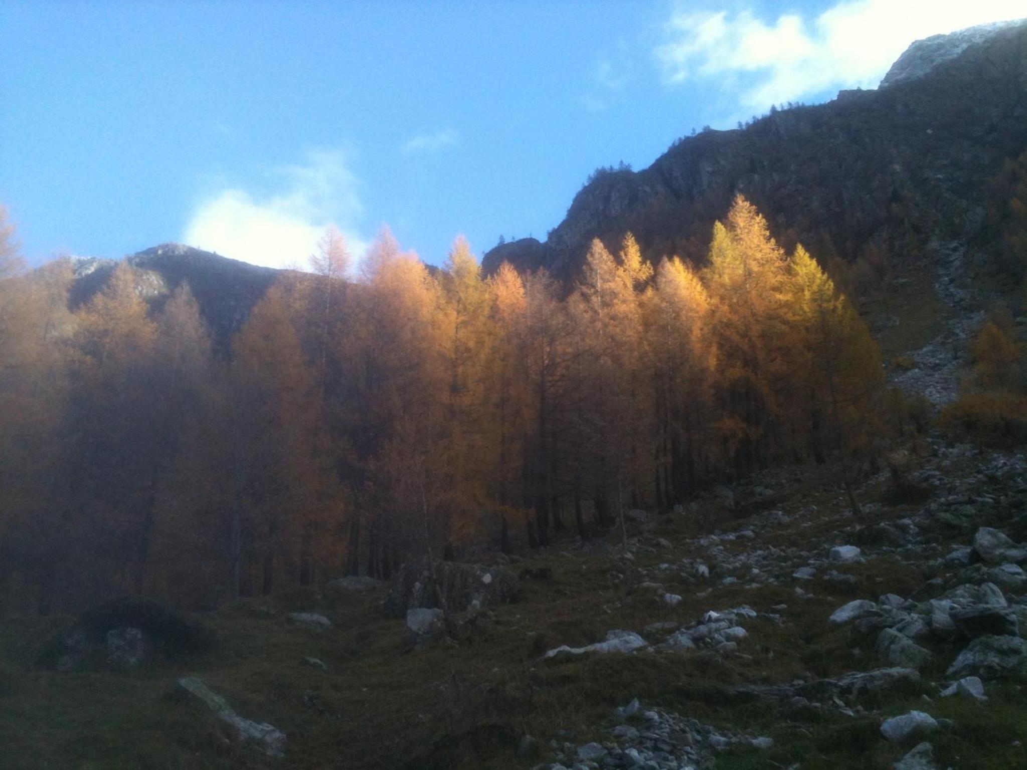Photo 24