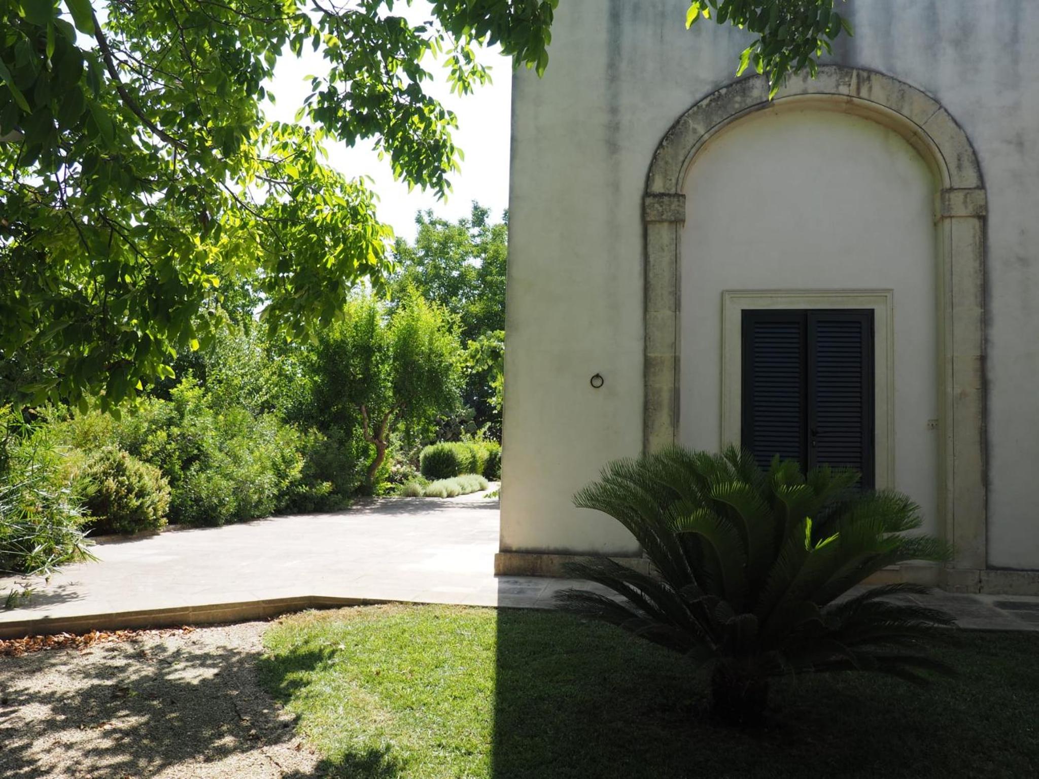 Photo 42