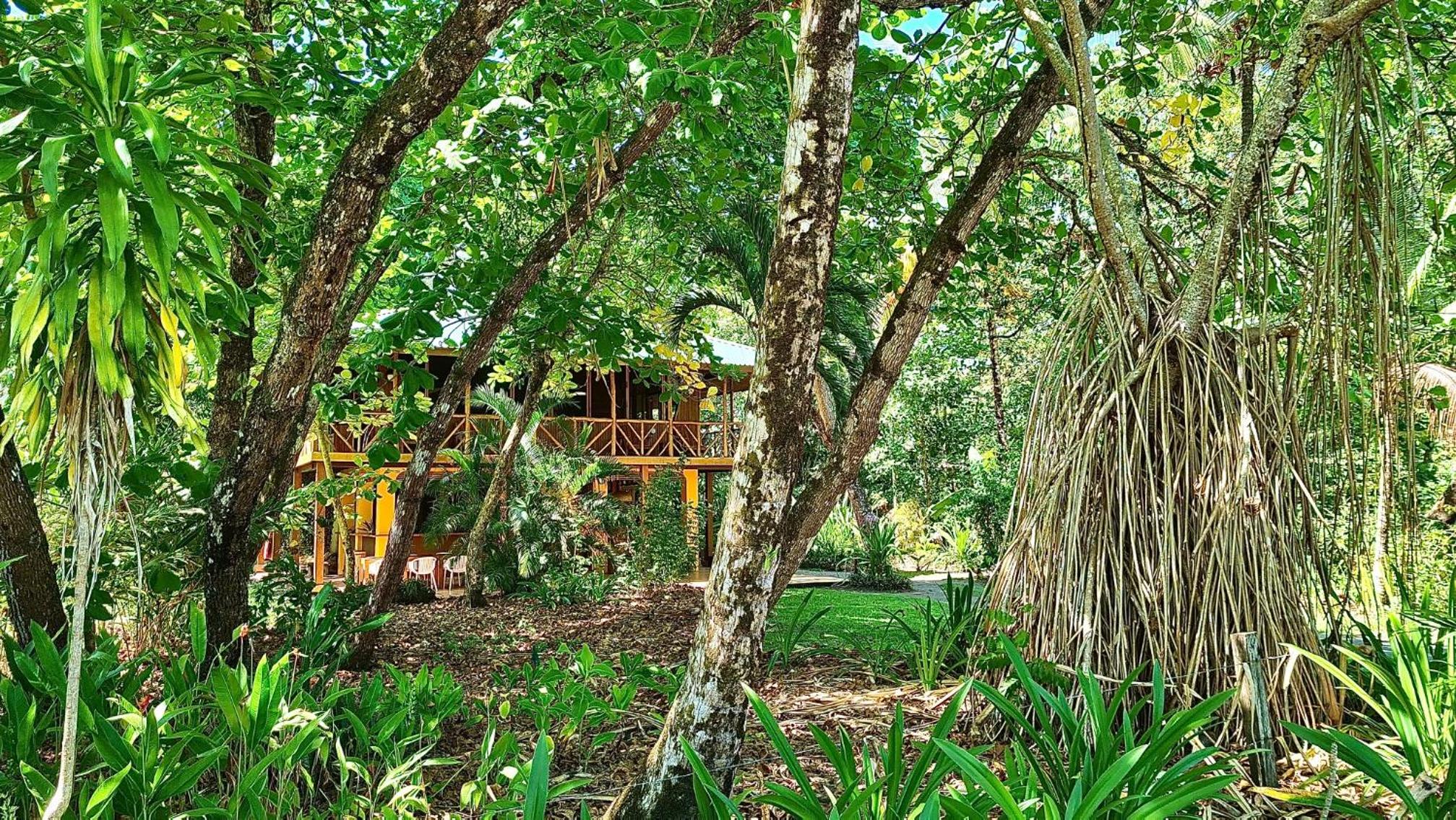 Casa Punta Preciosa - Beach house - Unique location - Sea view