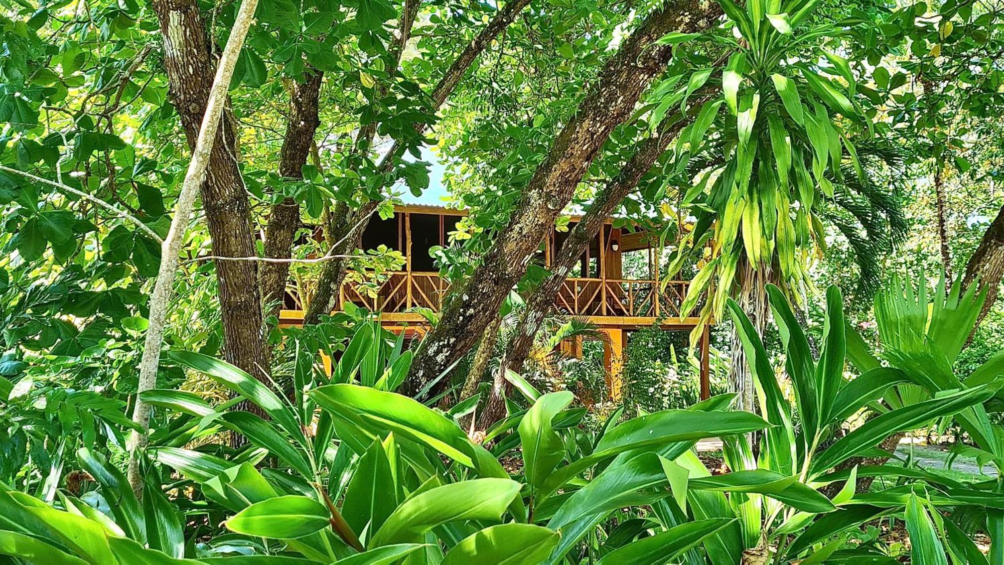 Casa Punta Preciosa - Beach house - Unique location - Sea view