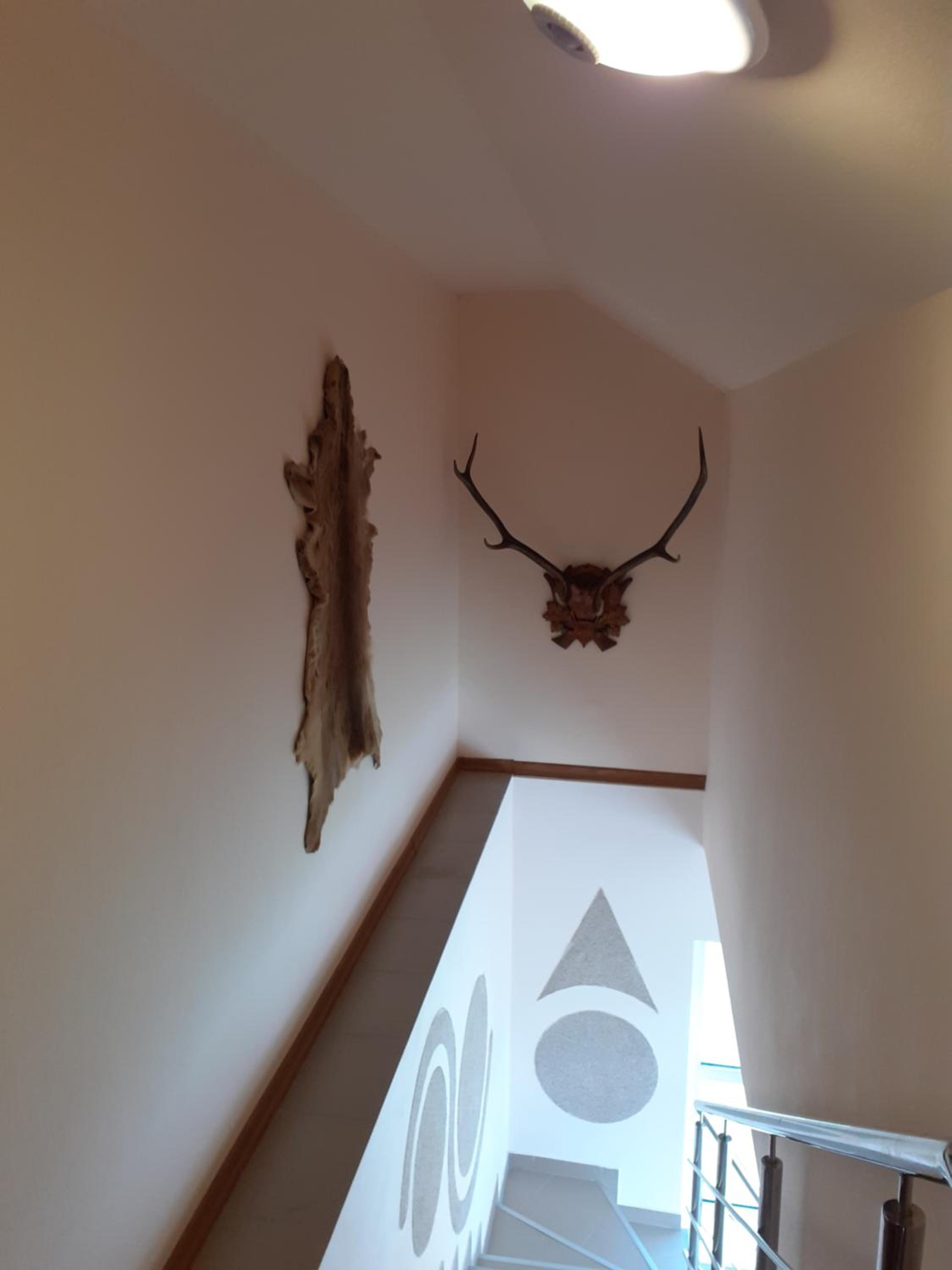 Photo 53
