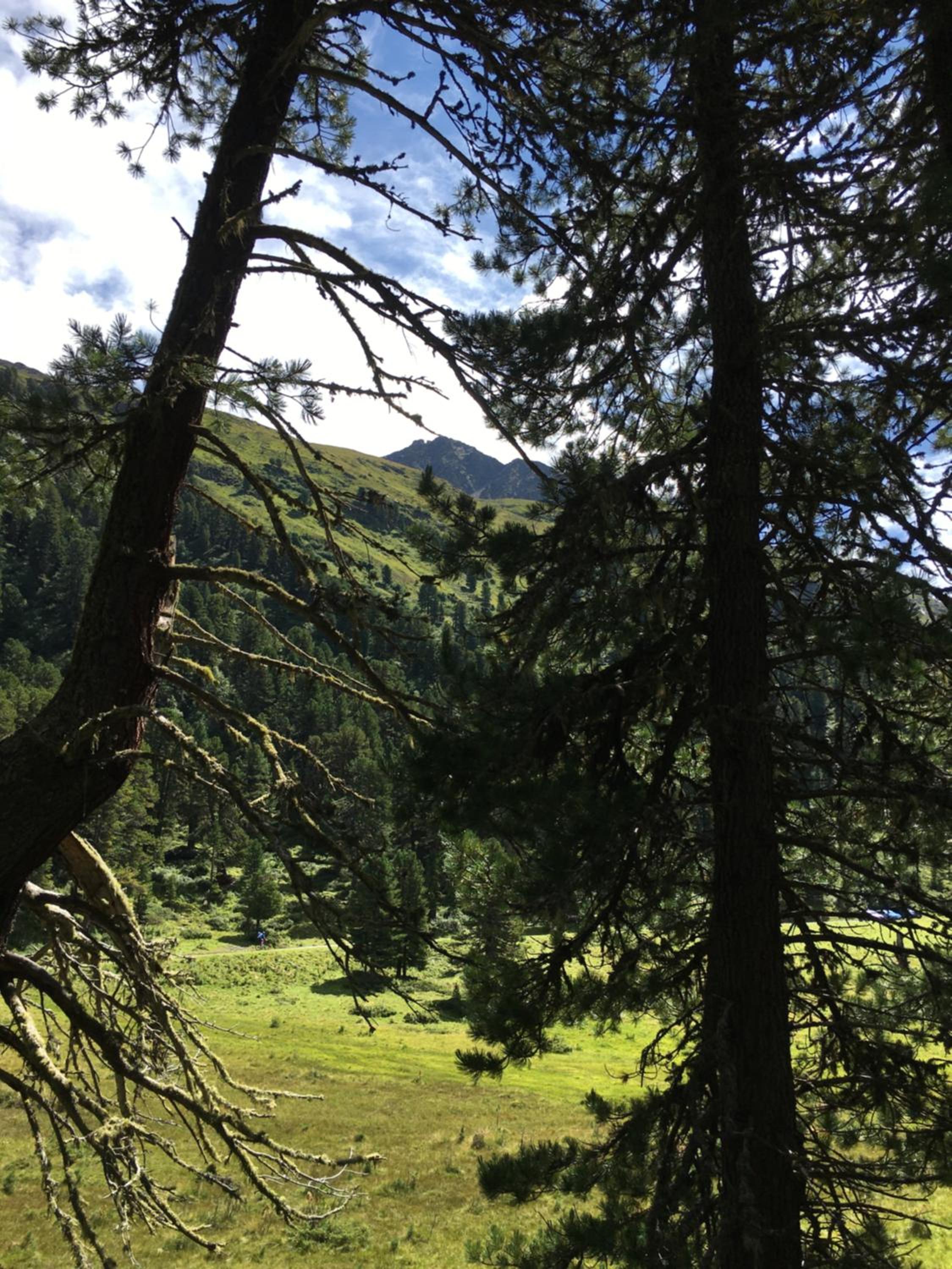 Apart Dorfbäck