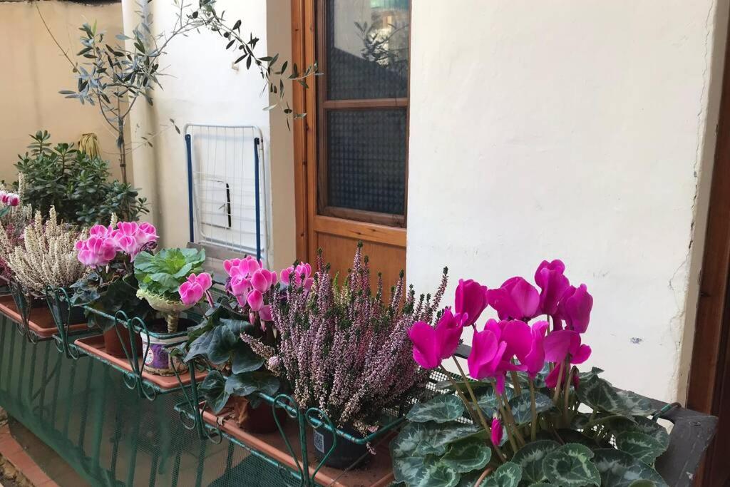 Deluxe Apartment in the centre of Florence