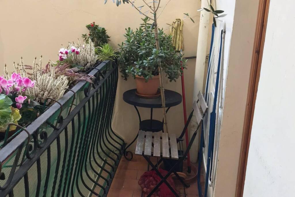 Deluxe Apartment in the centre of Florence