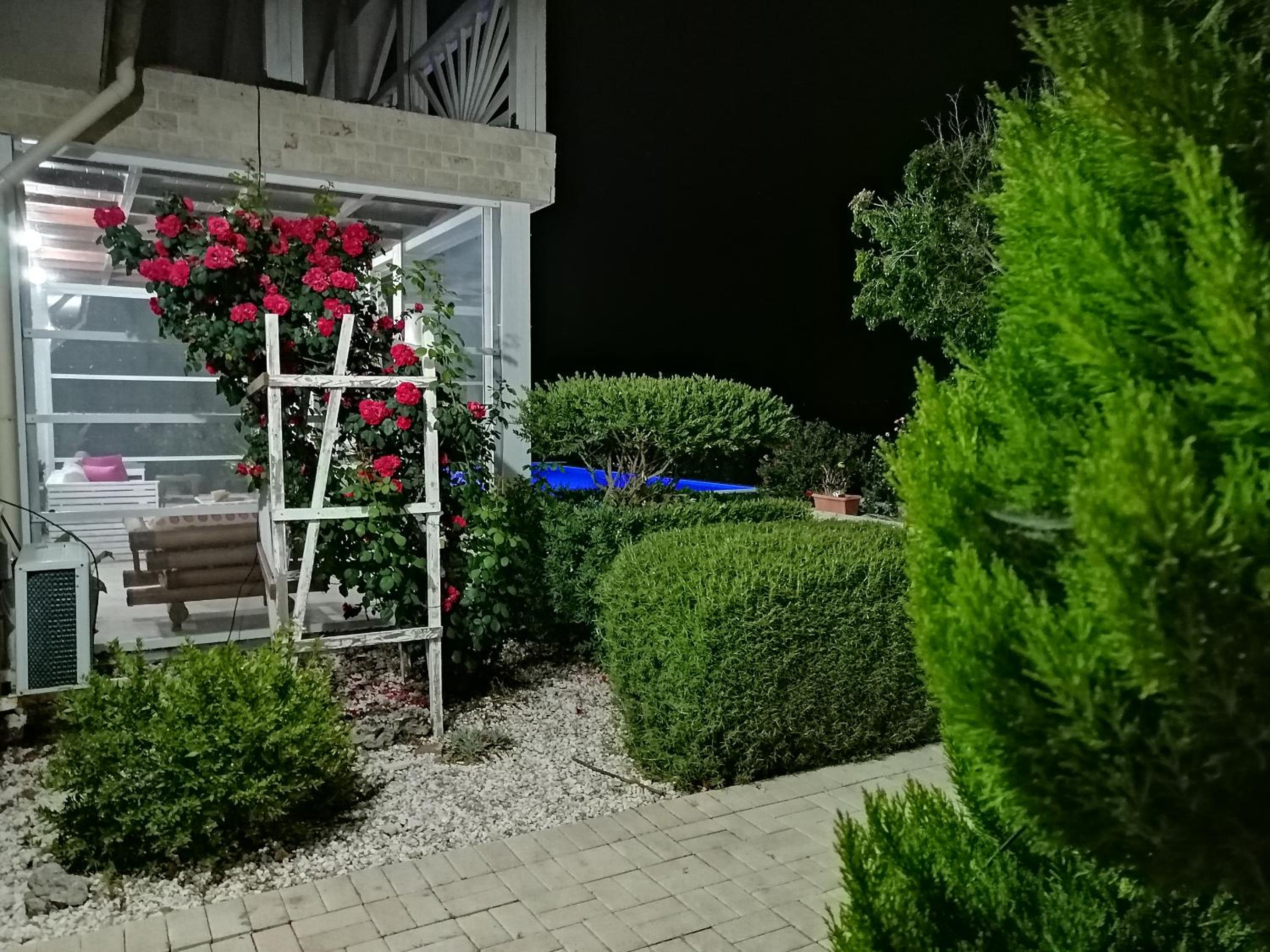 Photo 46