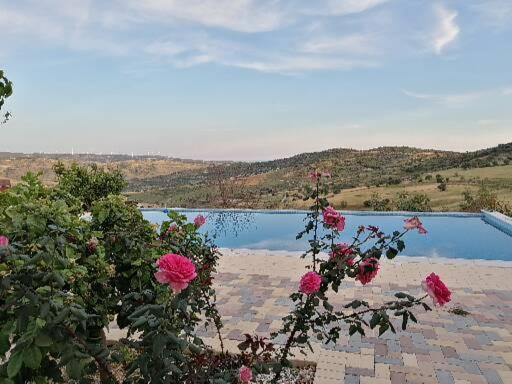Infinity view villa view 2