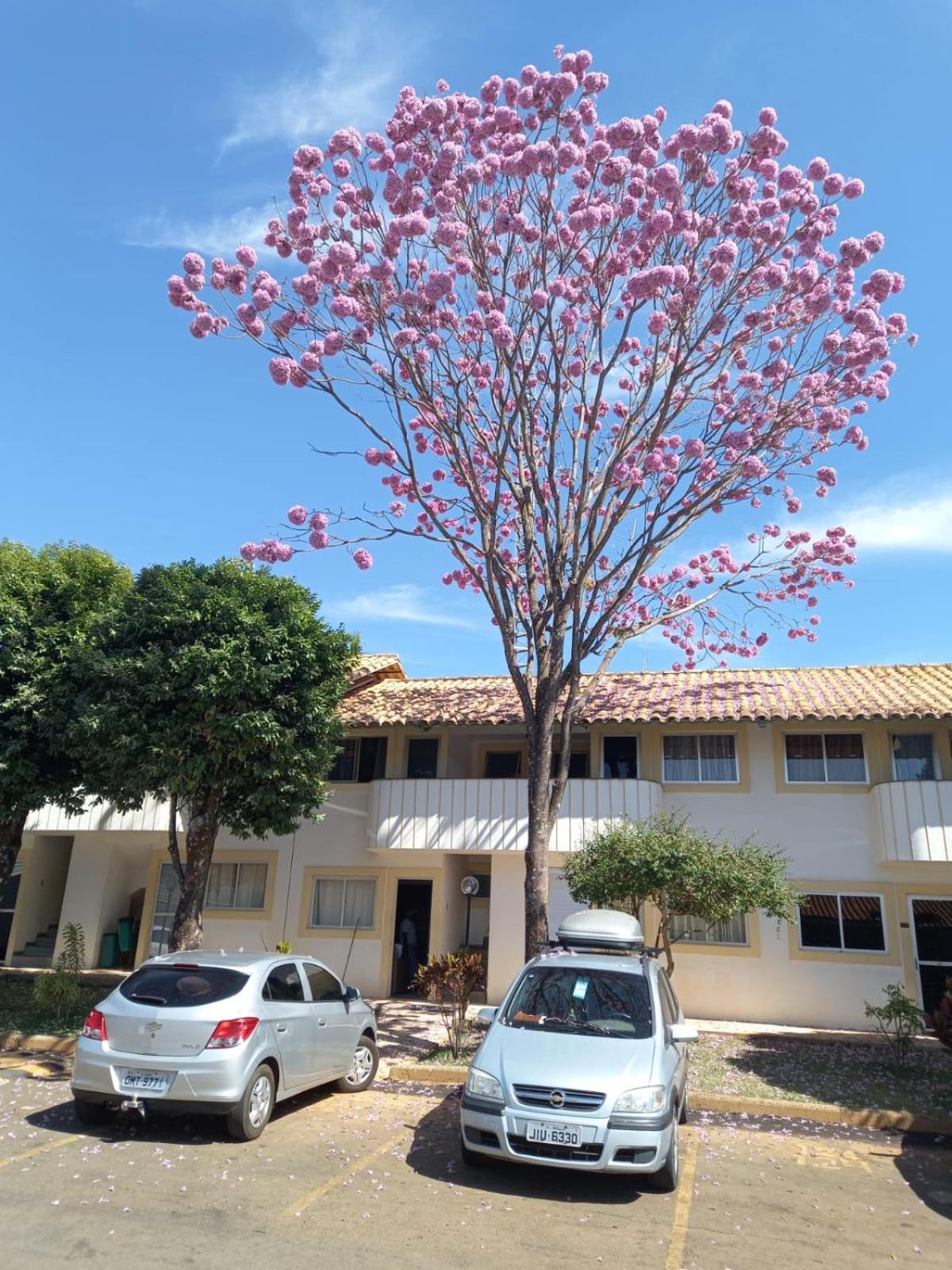 DiRoma resort Caldas Novas