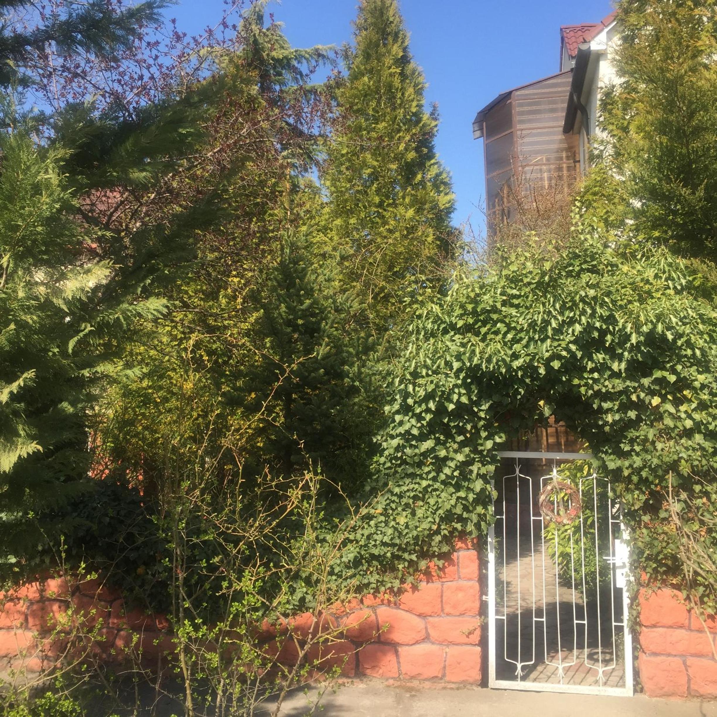 Photo 22