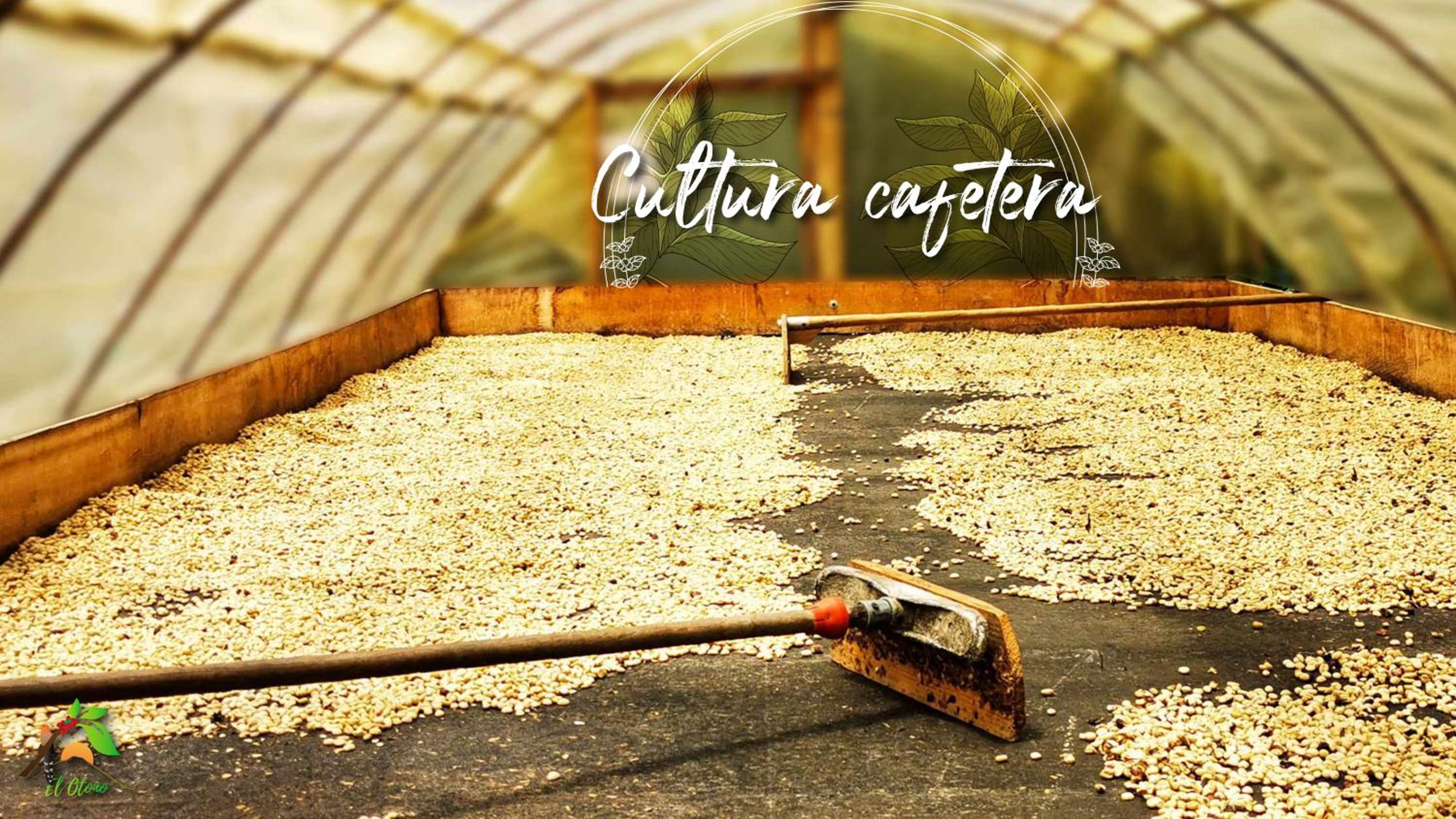 Finca TRADICIONAL EL OTOÑO