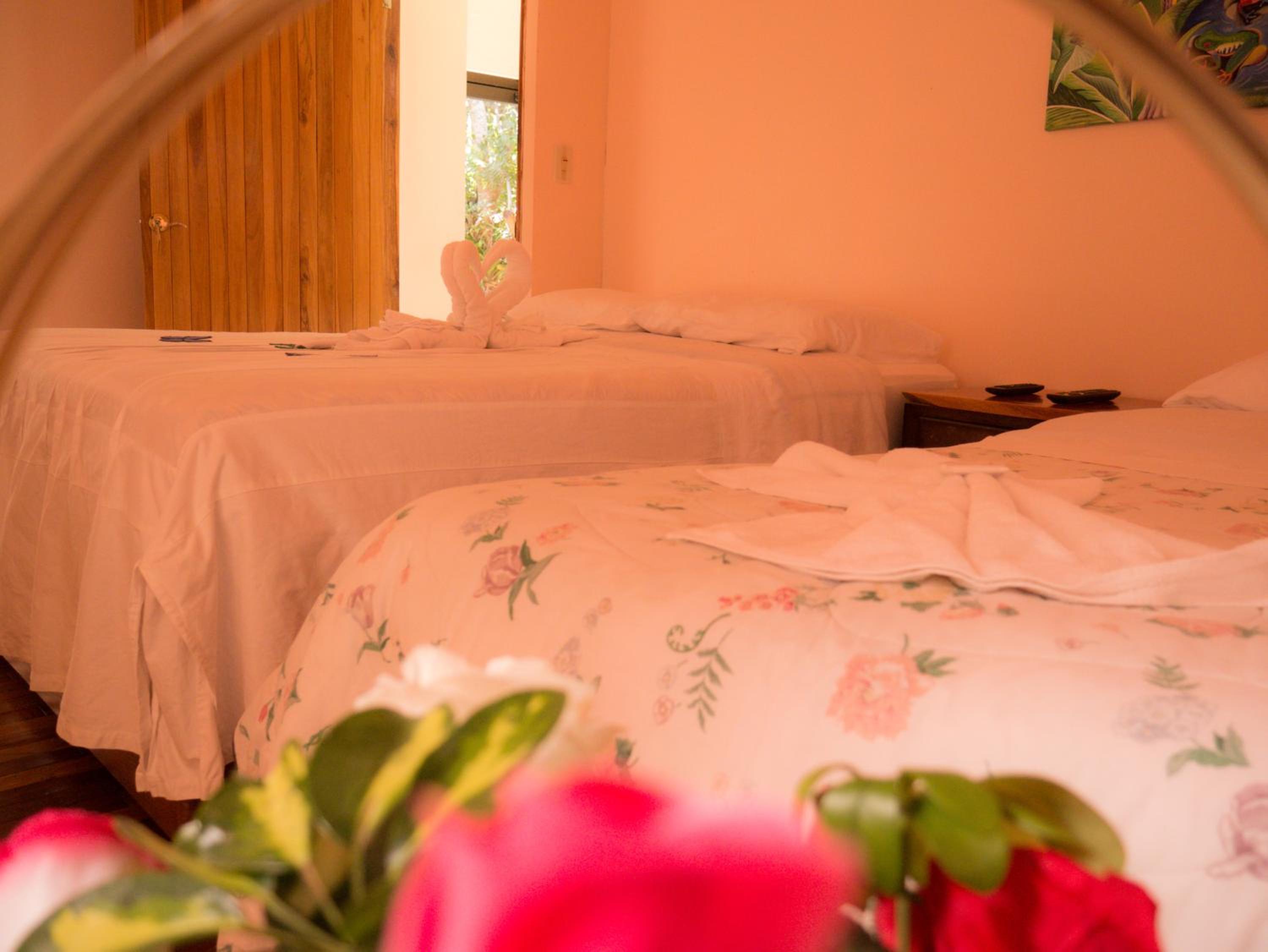 Monte Los Lirios Lodge