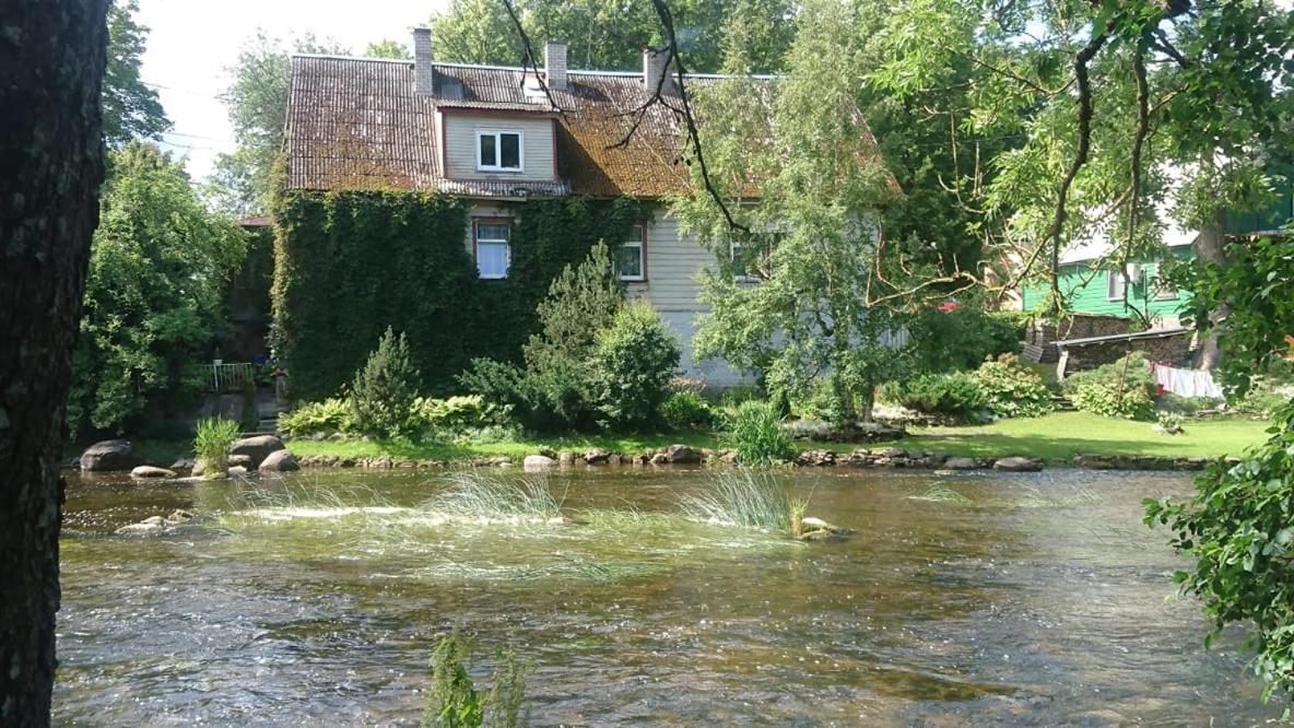 Lossi 8 -4 Põltsamaa Maida view 3