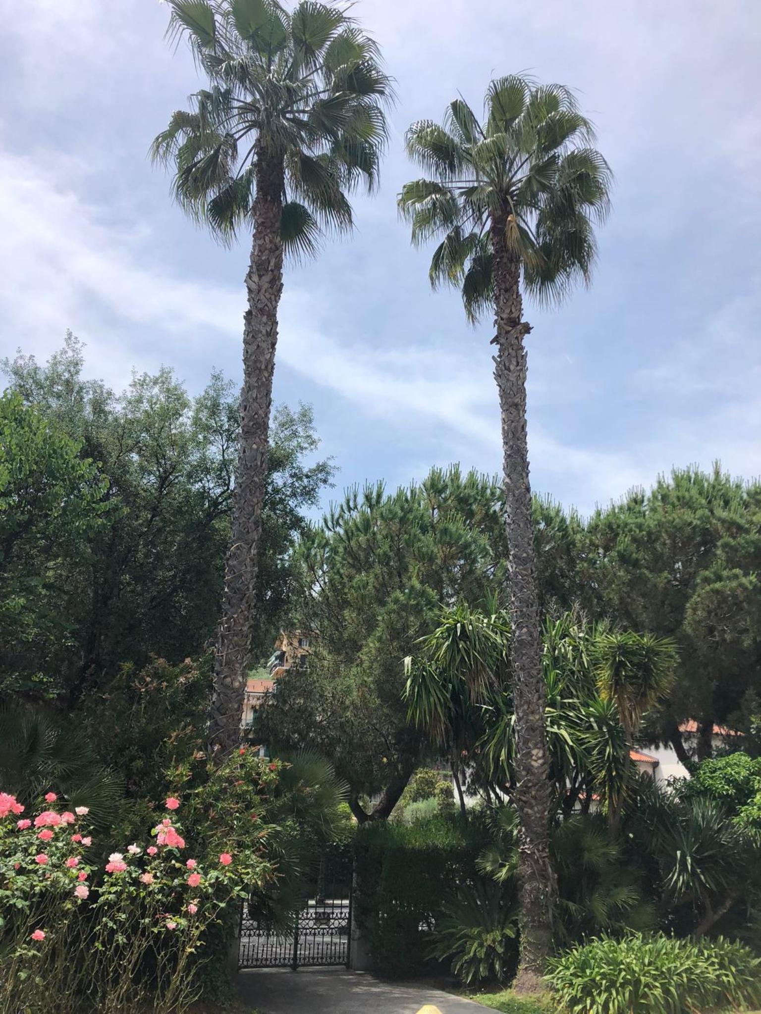 Giorgio's Inn view 3