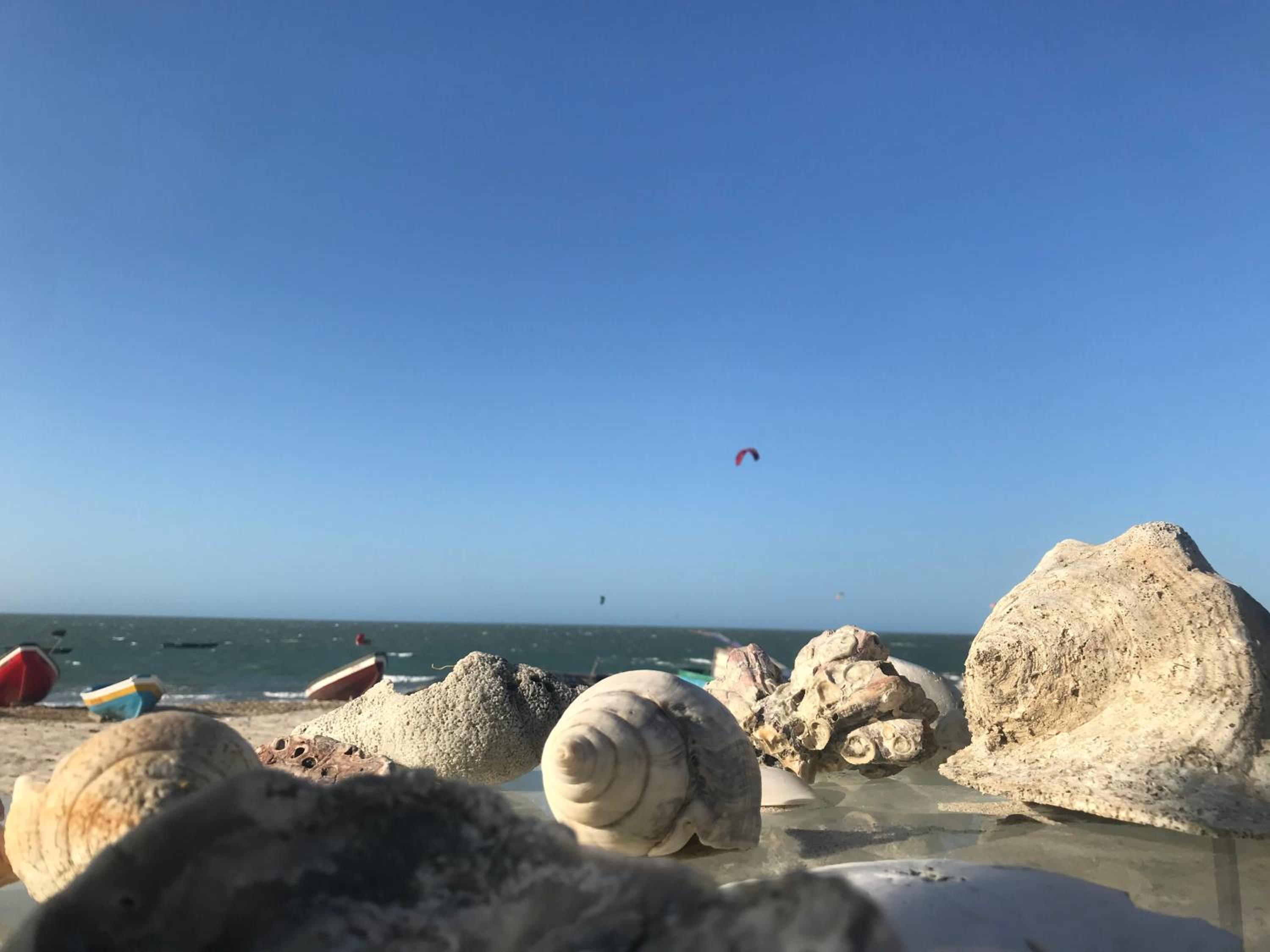 La Vista Kite Preá