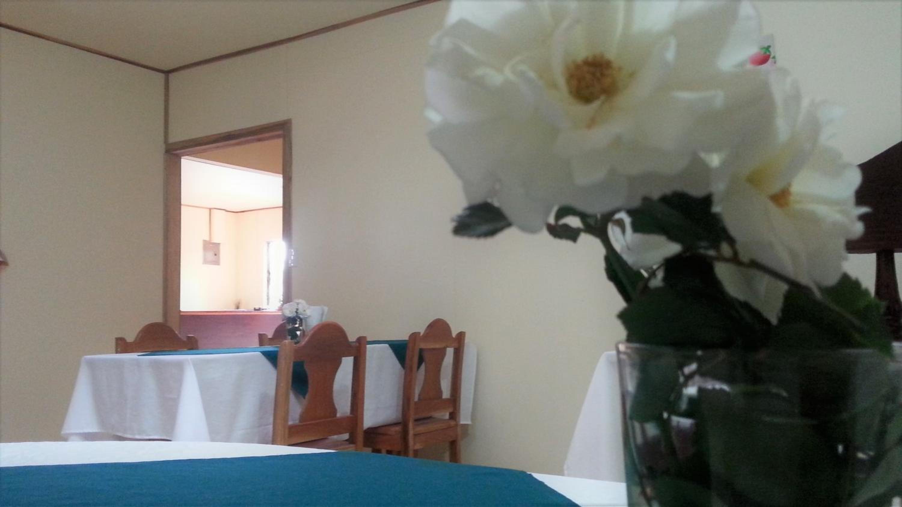 Monte Los Lirios Lodge