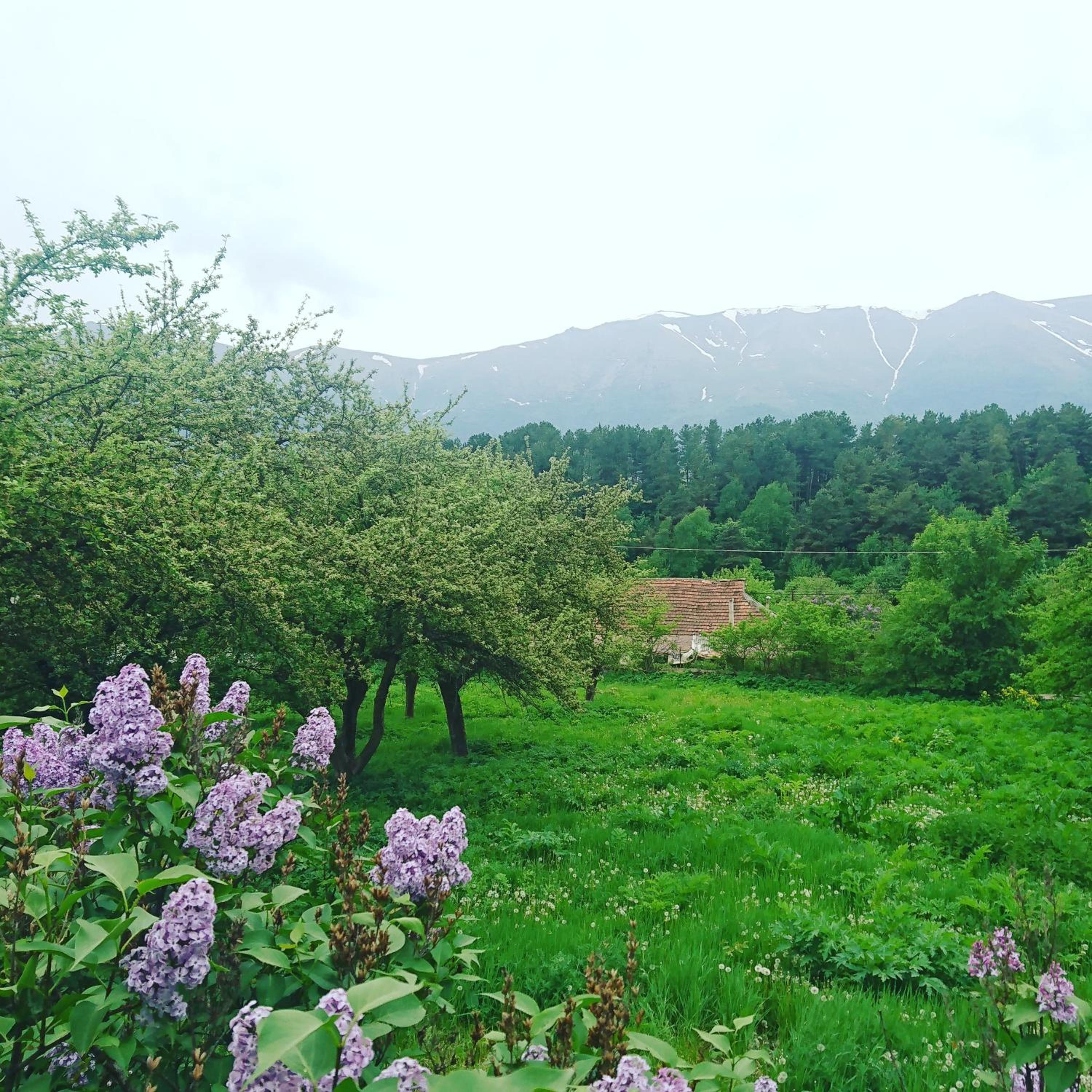 Hovit Holiday Home