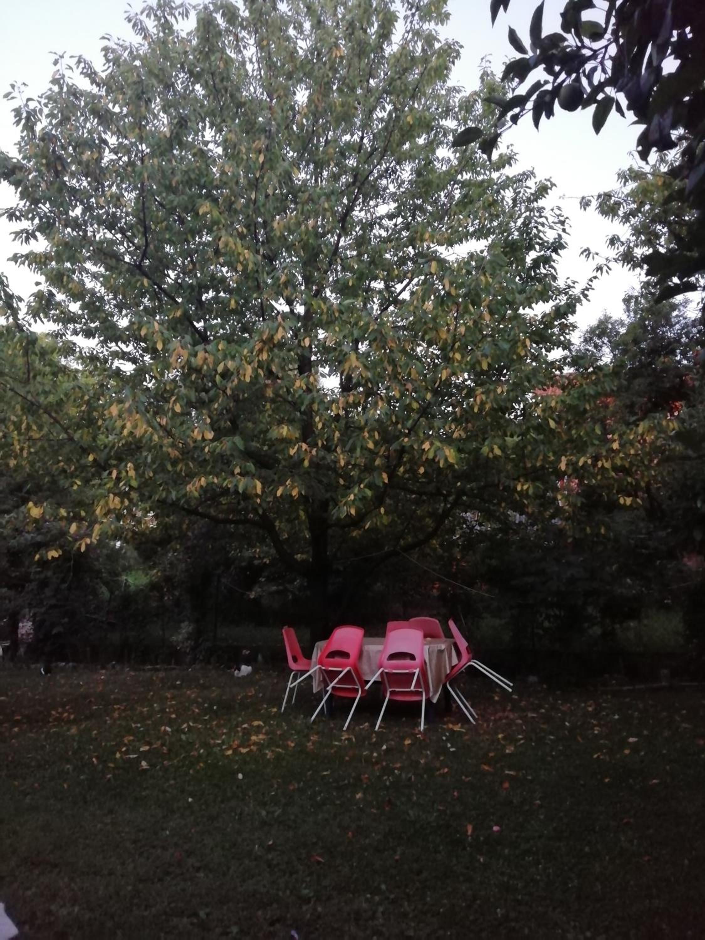 Photo 43