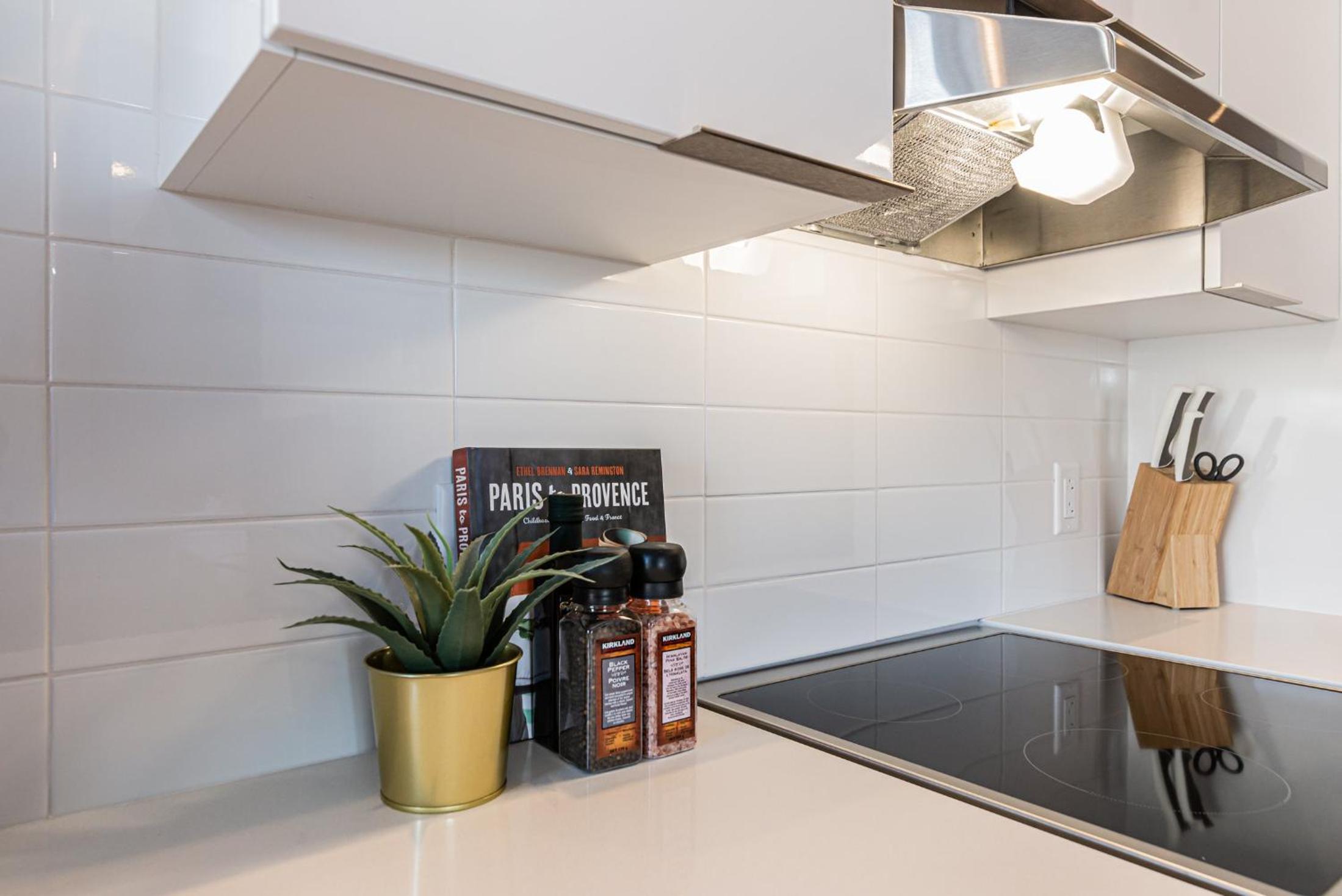 Huge New Flat well Located closed on St-Denis Street by Den Stays view 4