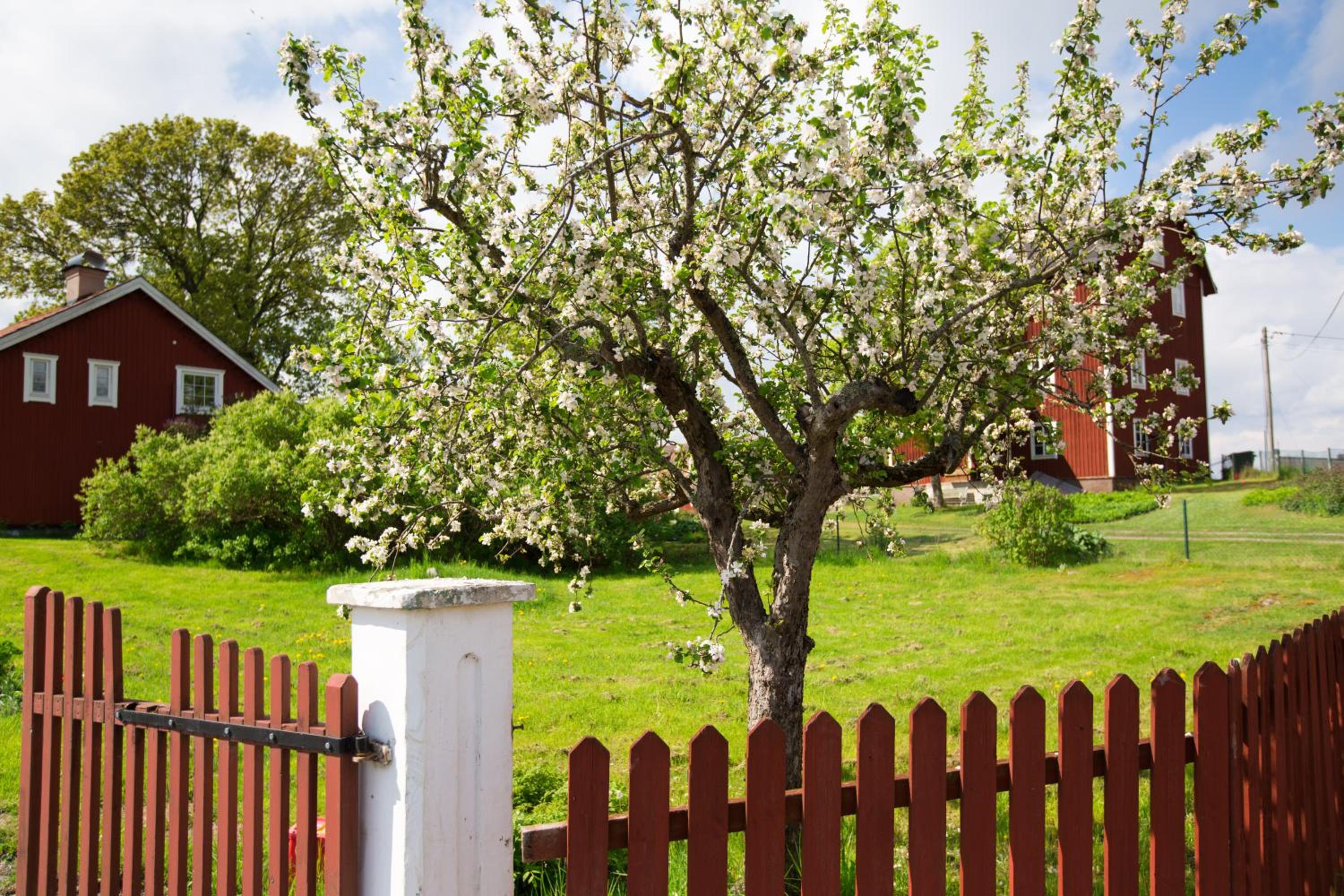 Lilla Sörgården