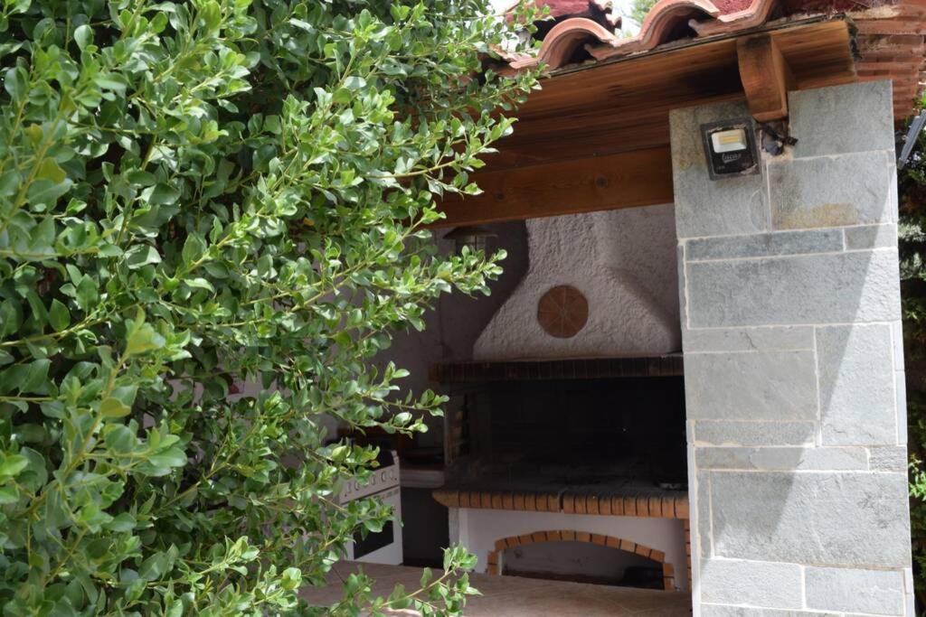 Photo 23