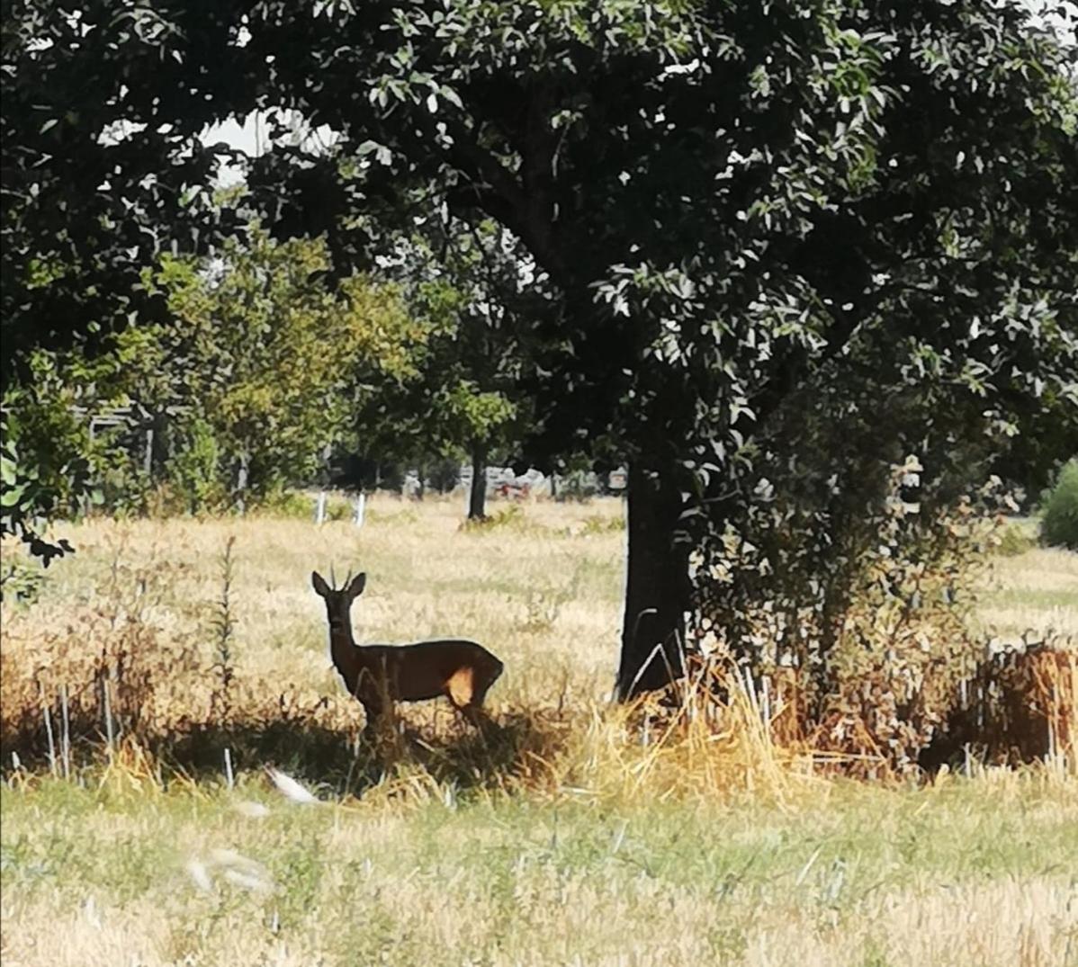 Felix House - Property Image 138