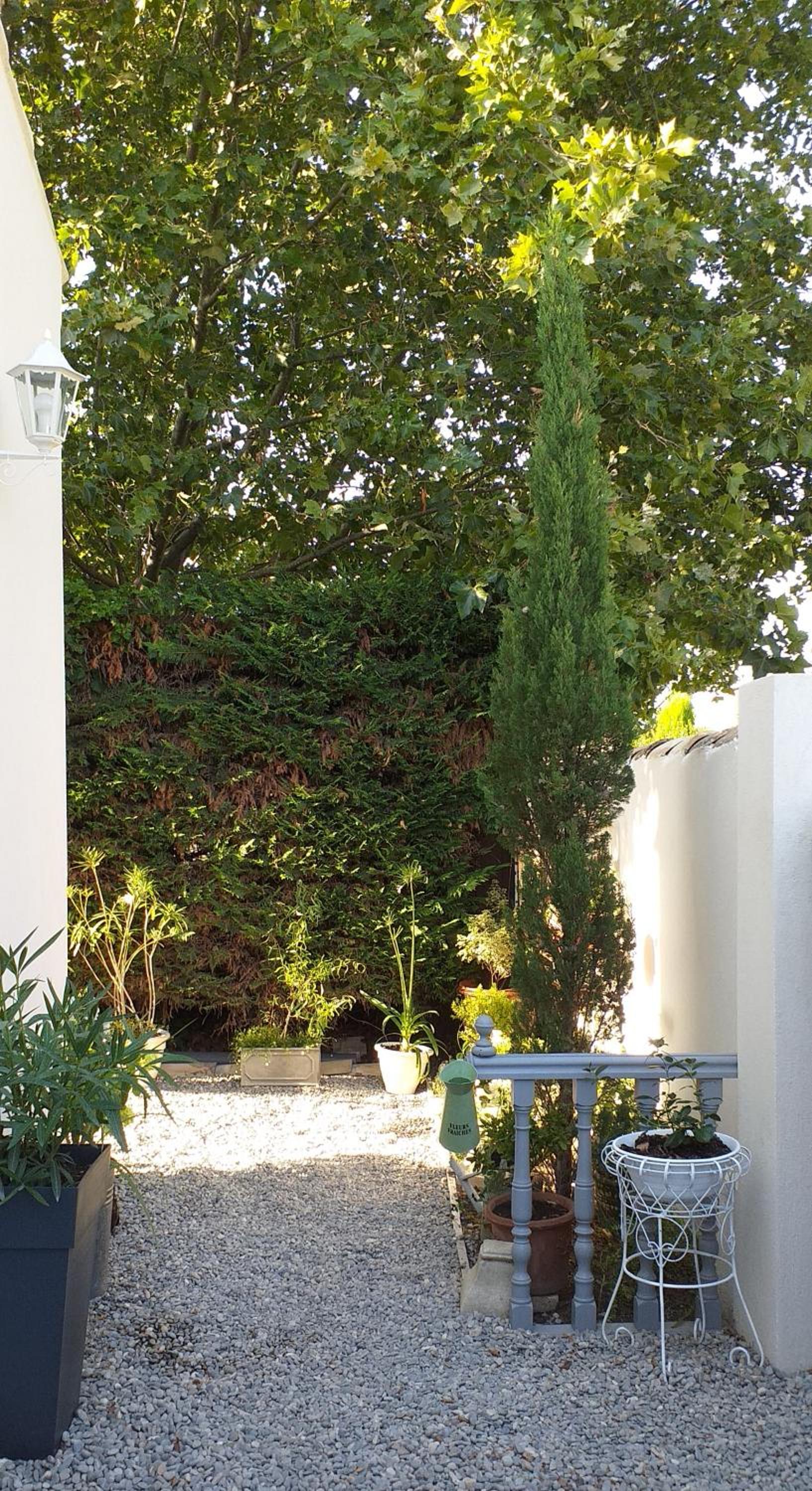 LE PETIT JARDIN ... photo 2