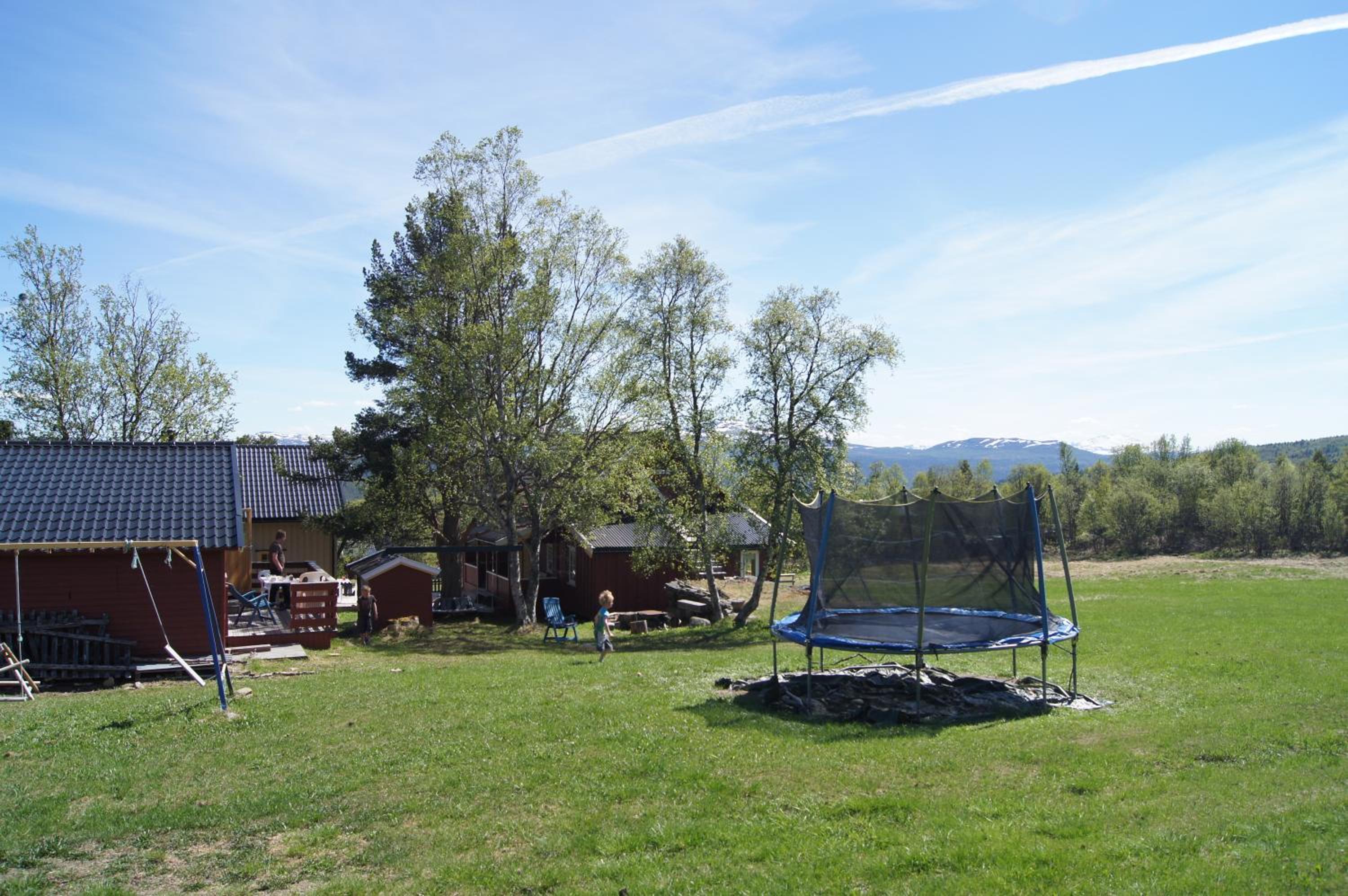 Photo 40