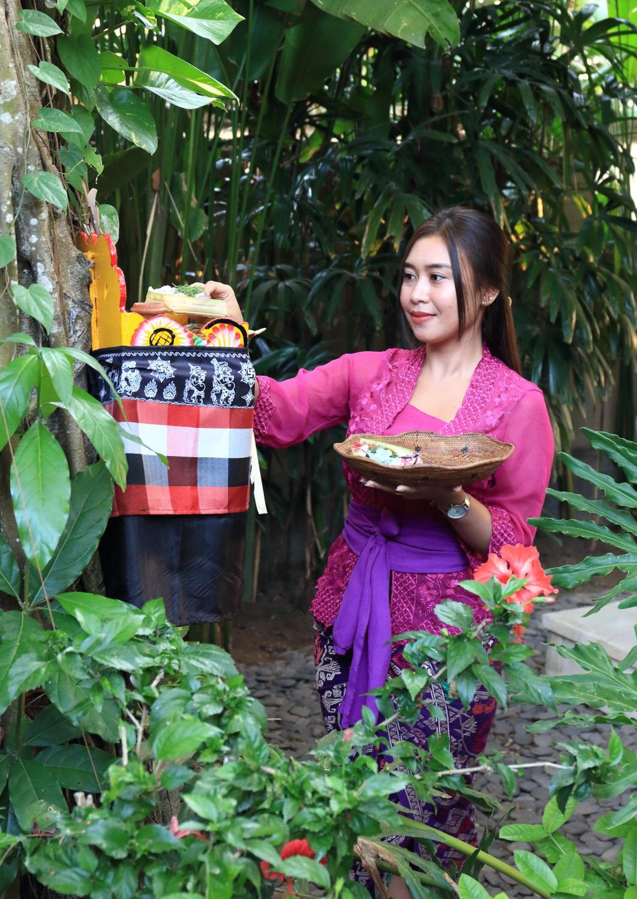 Tamu Seseh - Image 3