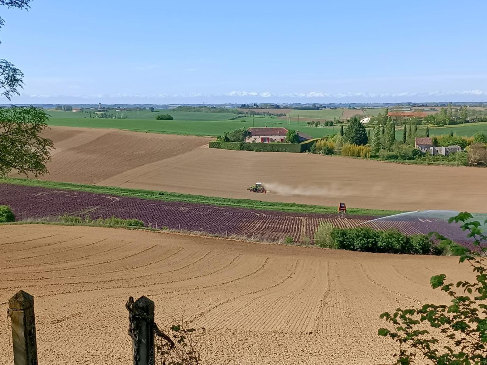 Le Jardin Des Cèdres