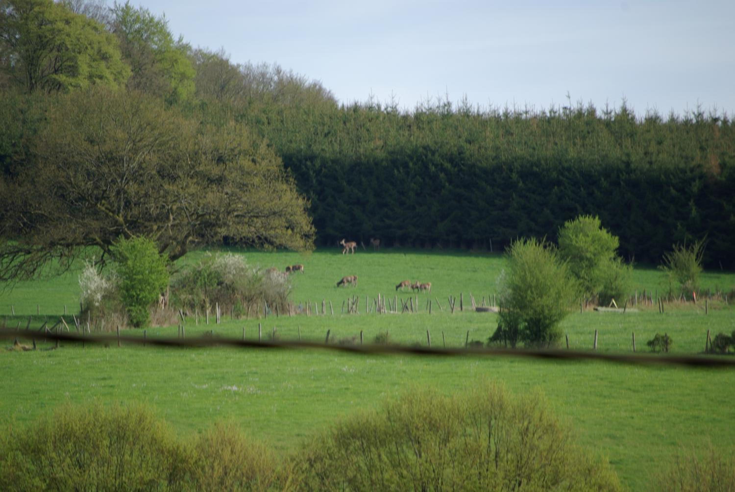 La Pastorale