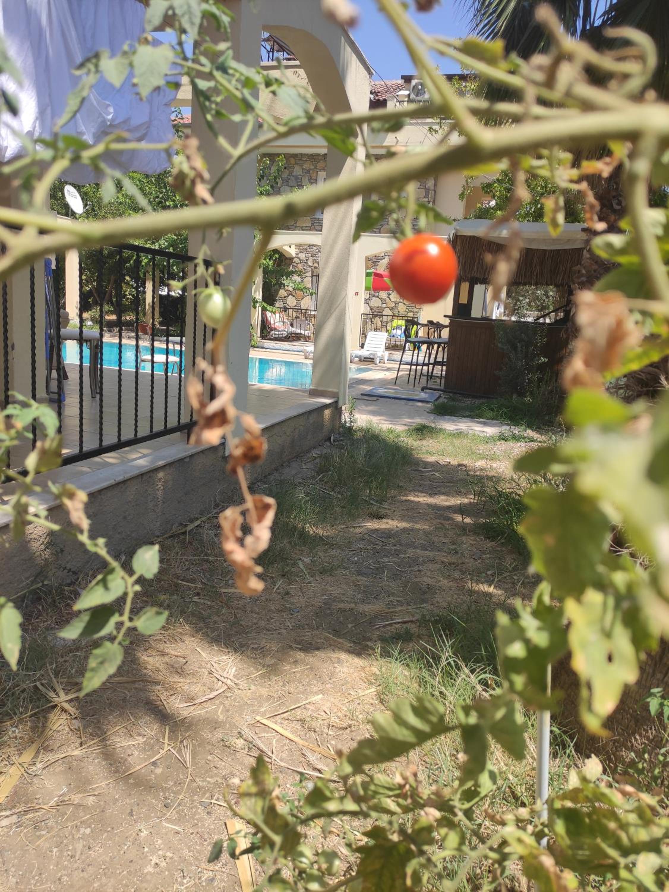 çileks apart otel - Image 17