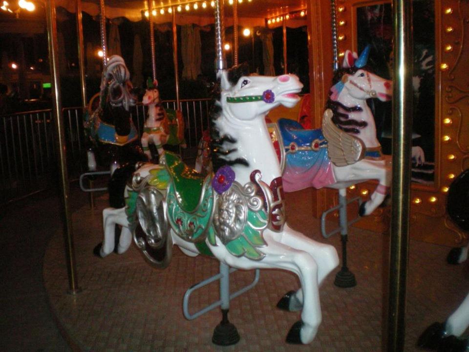 Photo 40