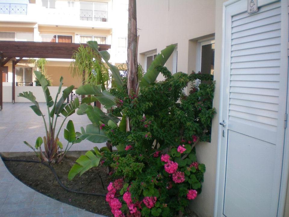 Photo 53